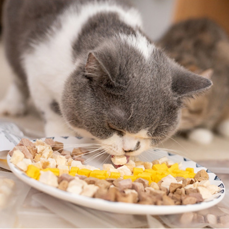 Top Selling Pet Food OEM Cat and Dog Treats Freeze Dried Duck Snacks Chicken Granule Factory Wholesale
