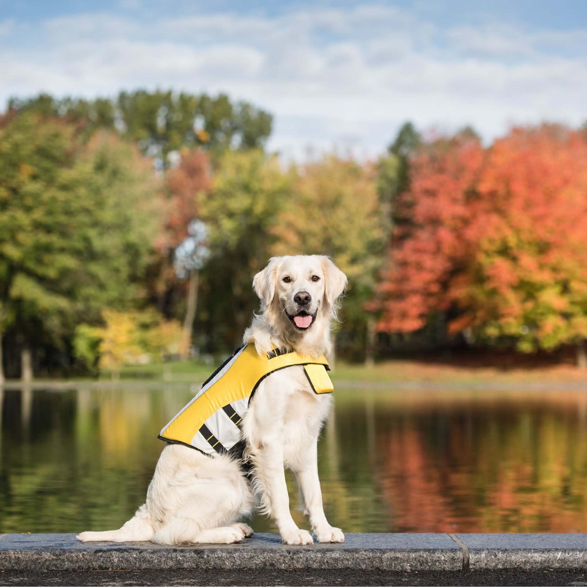 GF Pet Life Yellow Dog Vest, X-Large