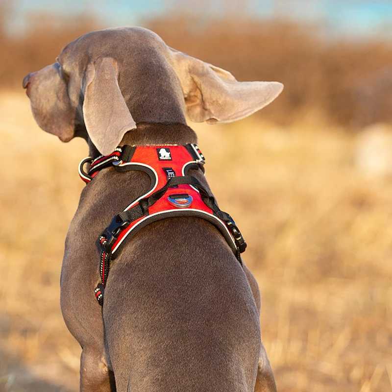 Truelove Pet Reflective Nylon Dog Strap Non Pull Adjustable Medium Large Naughty Dog Vest Safety Car Lead Running X241125