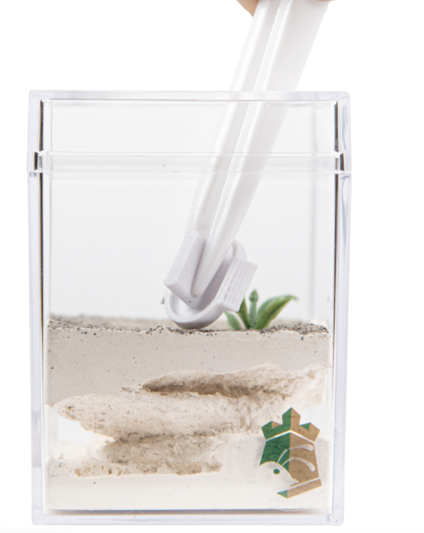 Anti Drown Feed Pots For PLA Ant