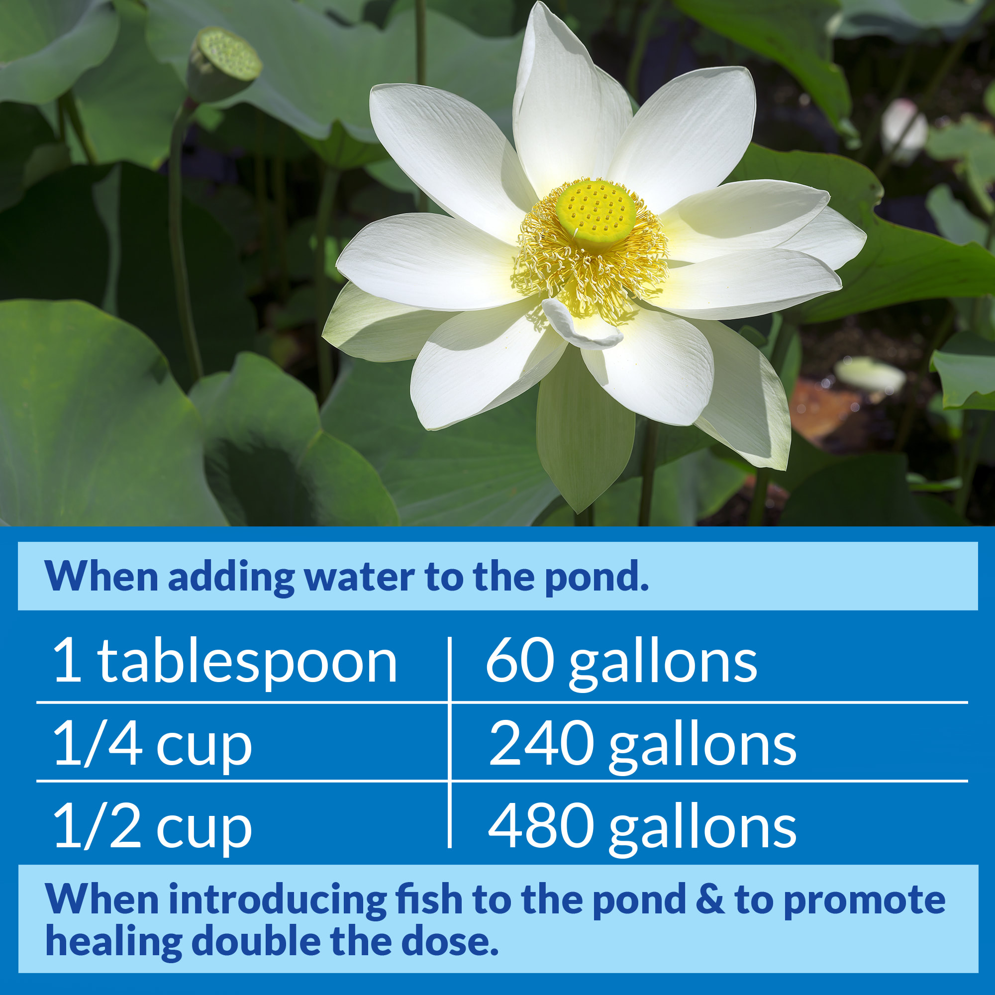 API Pond Stress Coat, 1 Gallon
