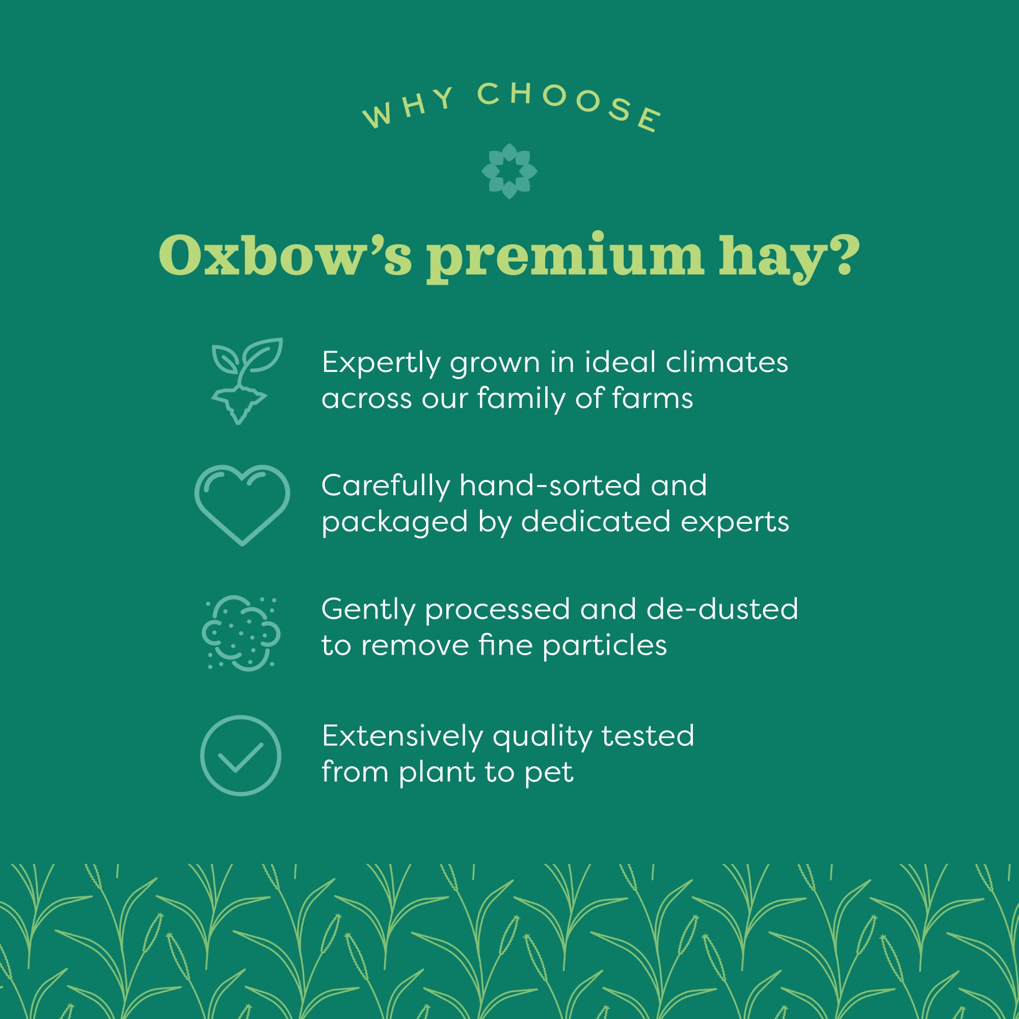 Oxbow Organic Meadow Hay for Rabbit, 40 oz.