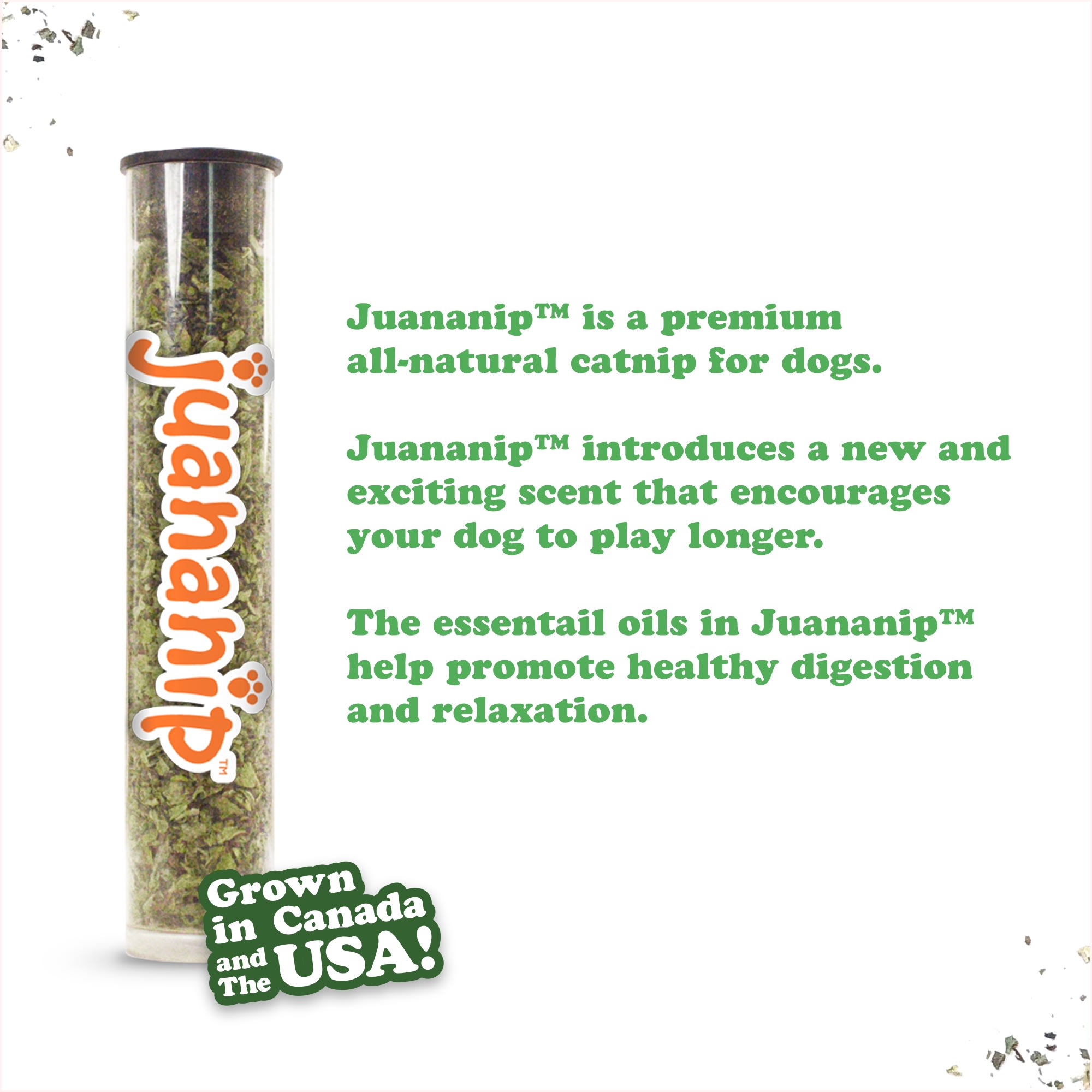 Doggijuana Tuffer Chewer Mini Refillable Stocking Stuffer Dog Toy, Small