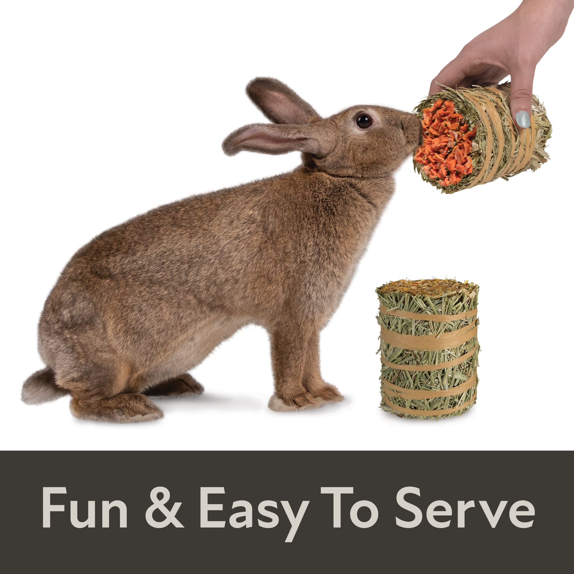 Kaytee Field+Forest Carrot and Marigold Mini Hay Bales, 7 oz., Pack of 2