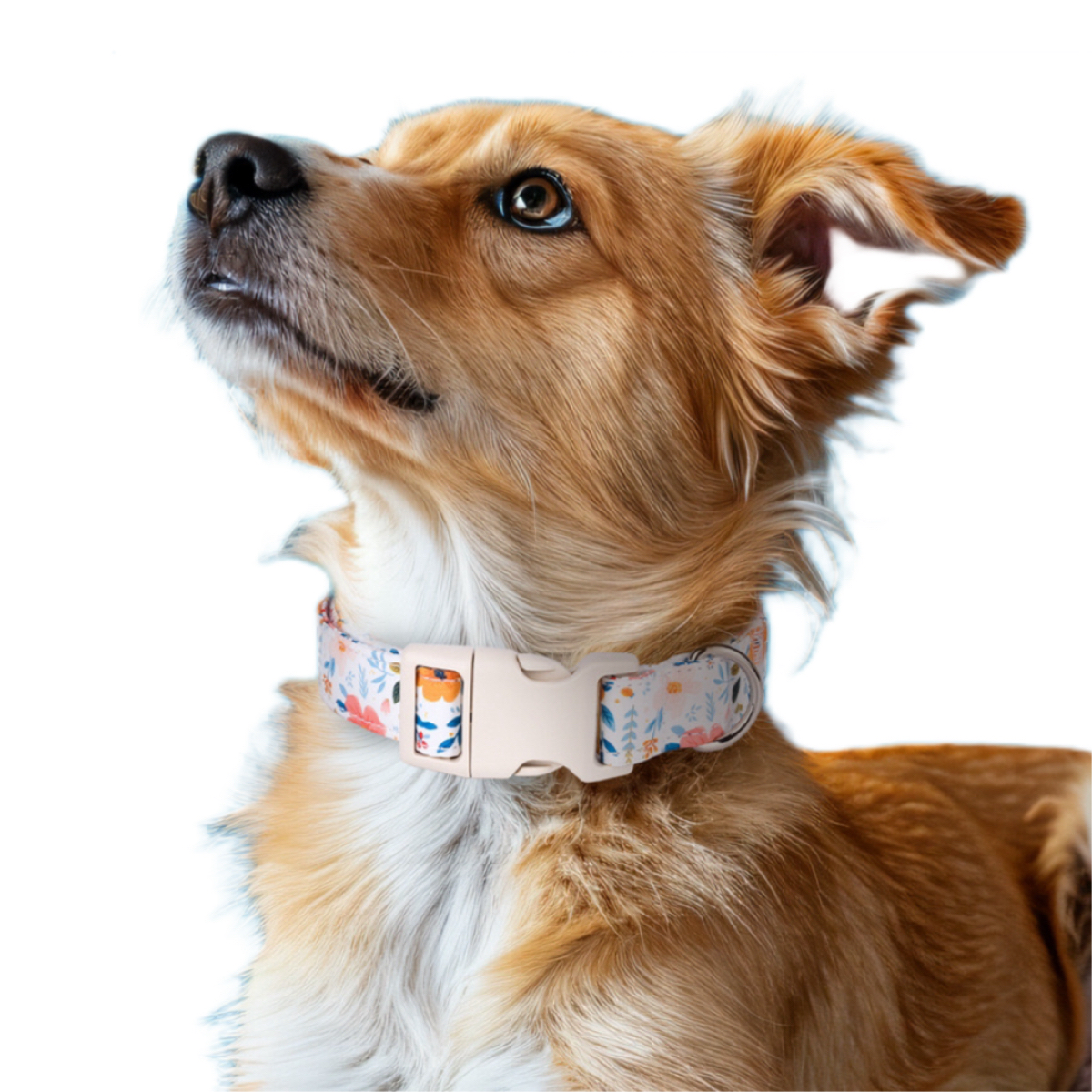 New Pet Accessories Dog Collars Premium Adjustable Roll Wholesale Pet Collar 2024 Sale Cotton RIBBONS Floral 100% Cotton Baikai