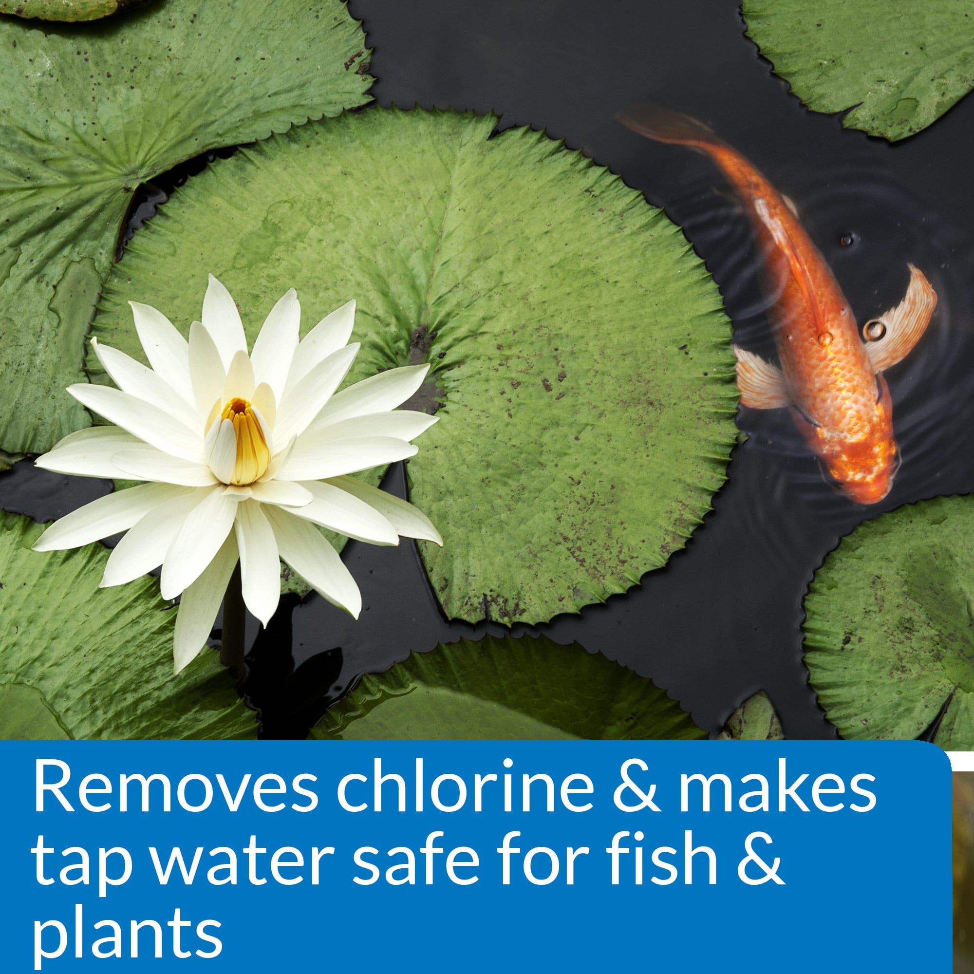 PondCare Chlorine & Heavy Metal Neutralizer