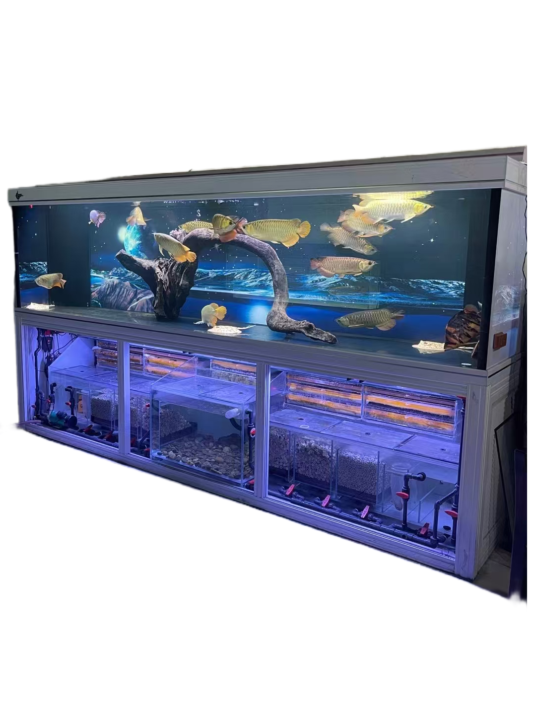 Wholesale New Style Clear Glass Fish Tank Aquarium Tank with cabinet and Aquariums and accessories