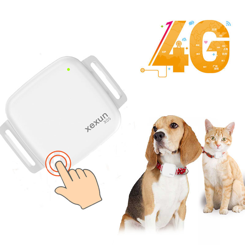Xexun Free GPS management App Platform High precision Pet Gps Tracker GPS Tracking Device for Dog Cat Pet