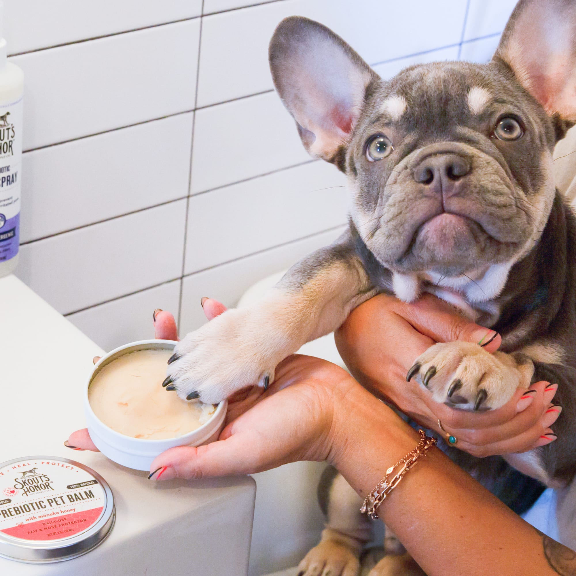 Skout's Honor Prebiotic Pet Balm, 2 oz.