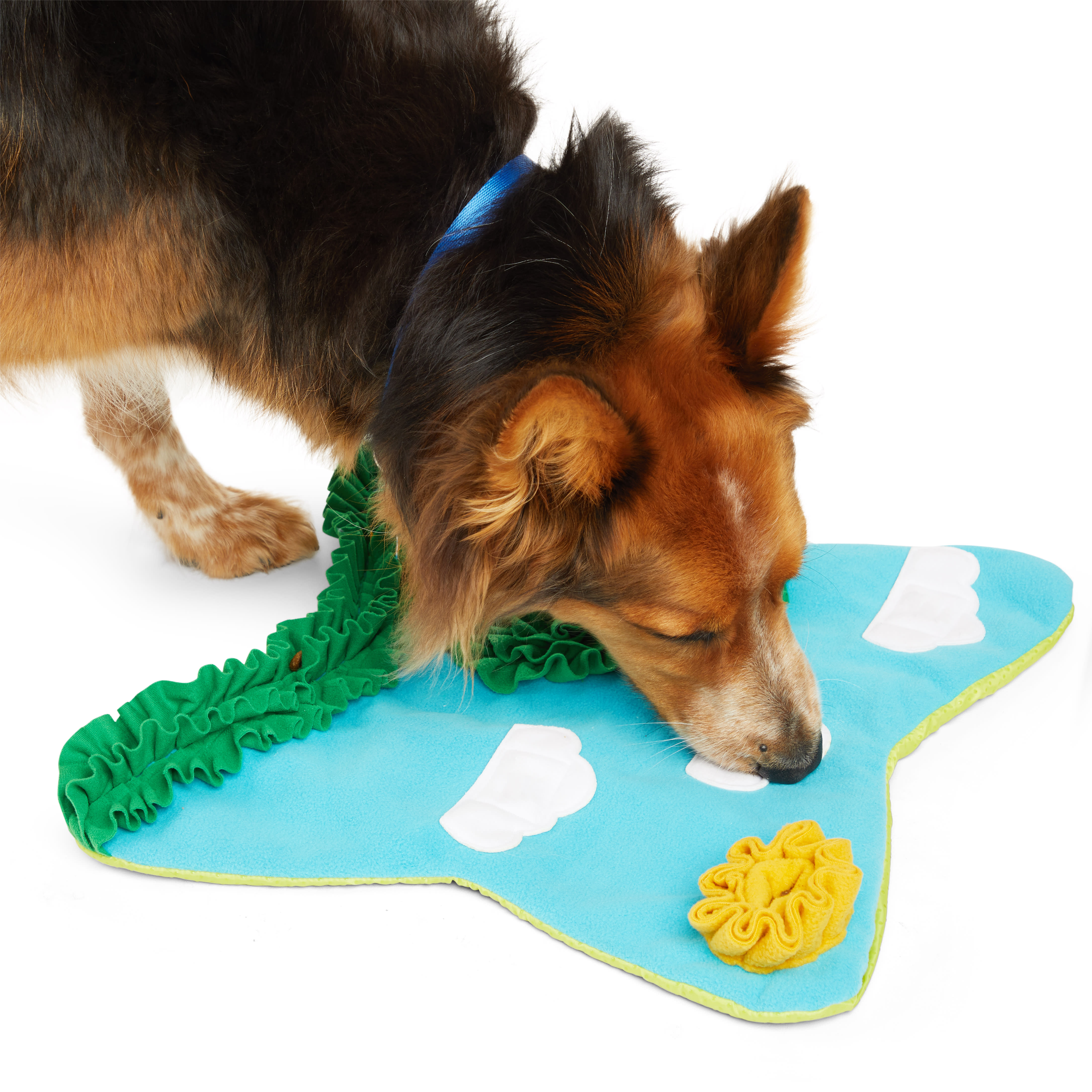 Leaps & Bounds Snuffle Mat Dog Toy, Large
