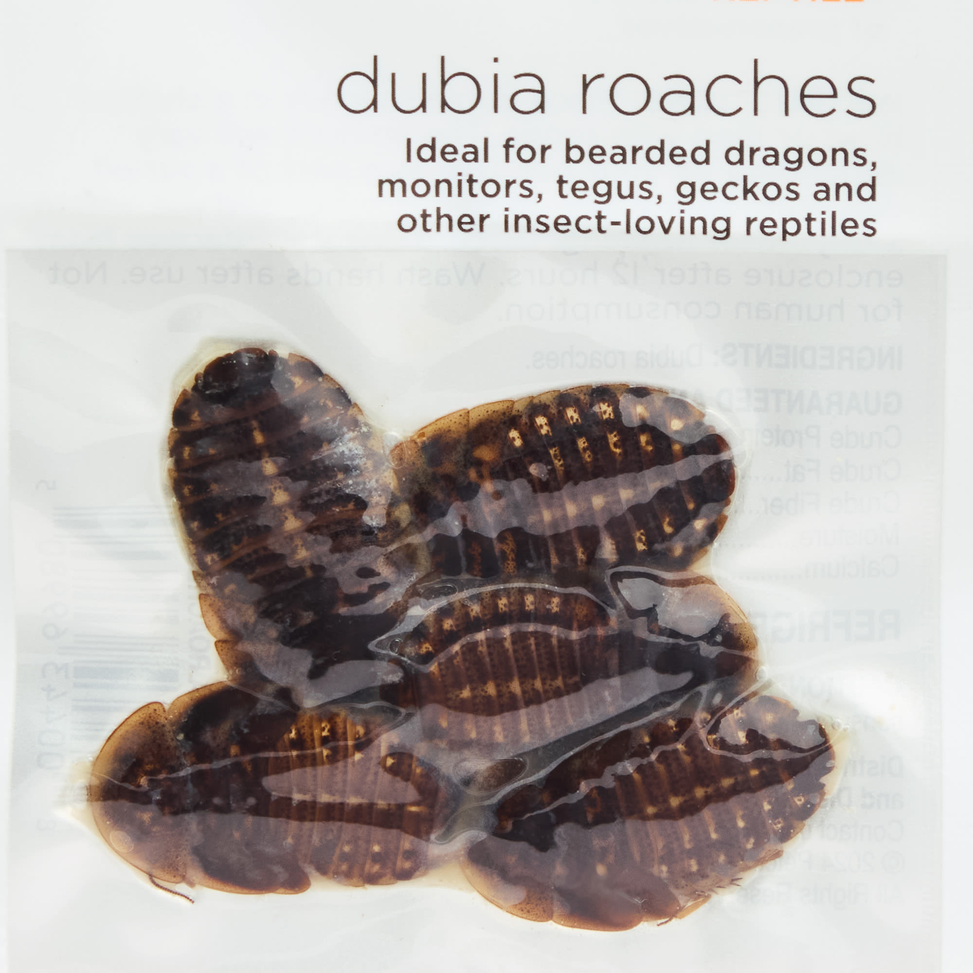 Imagitarium Dubia Cockroach, 0.23 oz., Count of 5