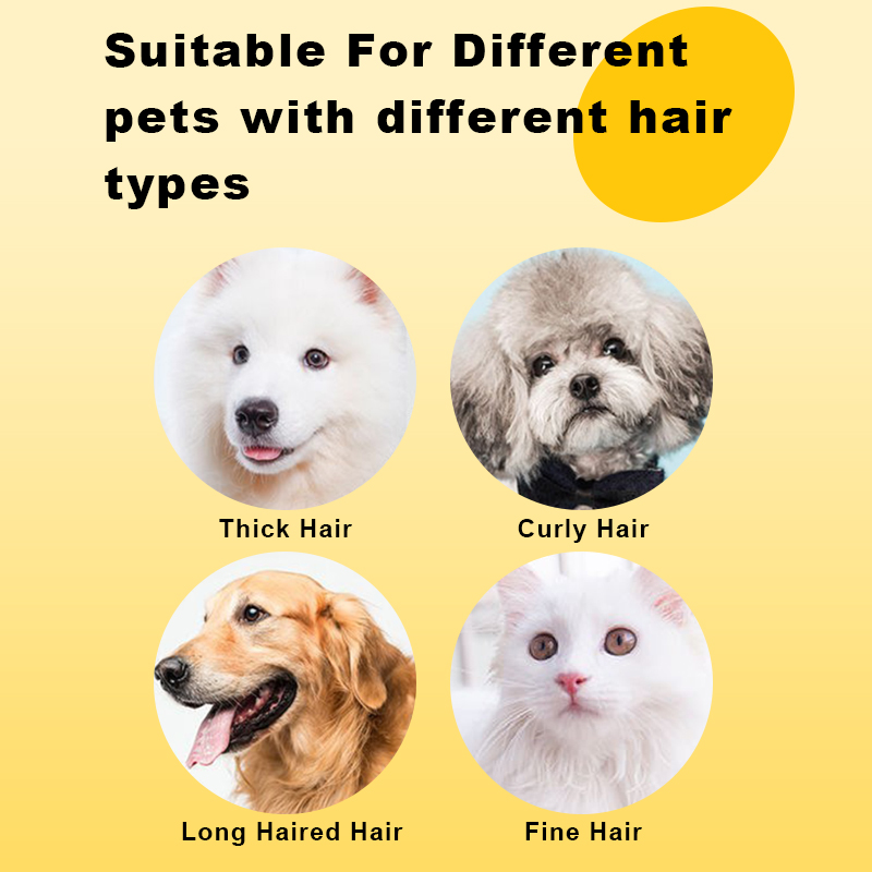 2024 Explosive New Products Long Hair And Short Hair Pet Hair Clipper