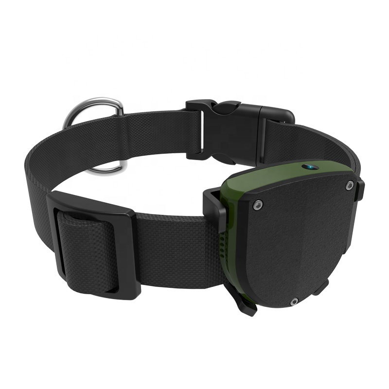 IP67 waterproof mini pet gps tracker gps tracking Cats Collars Dog GPS Pet Tracker With Long Battery Life