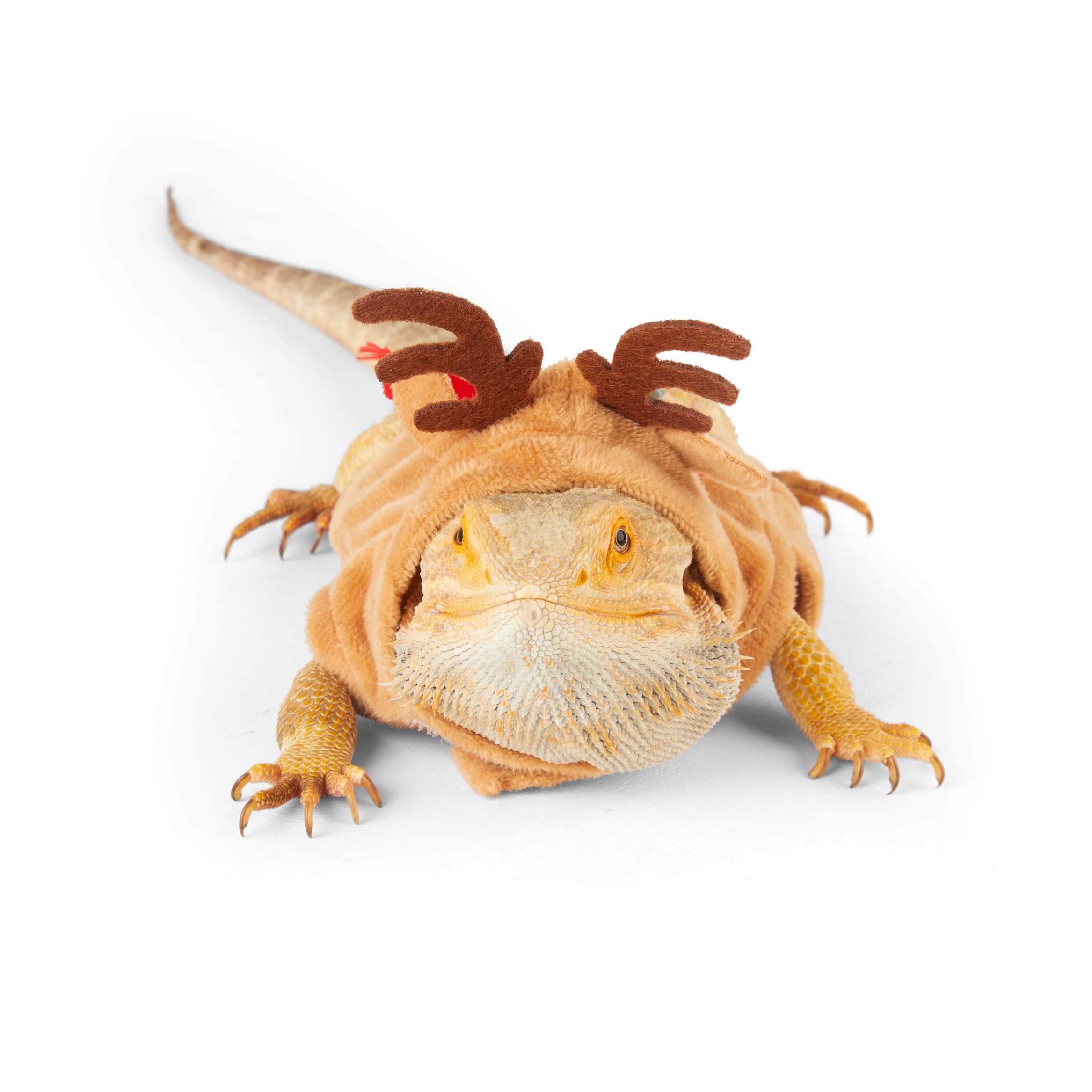 Merry Makings Reindeer Costume for Reptiles, Brown