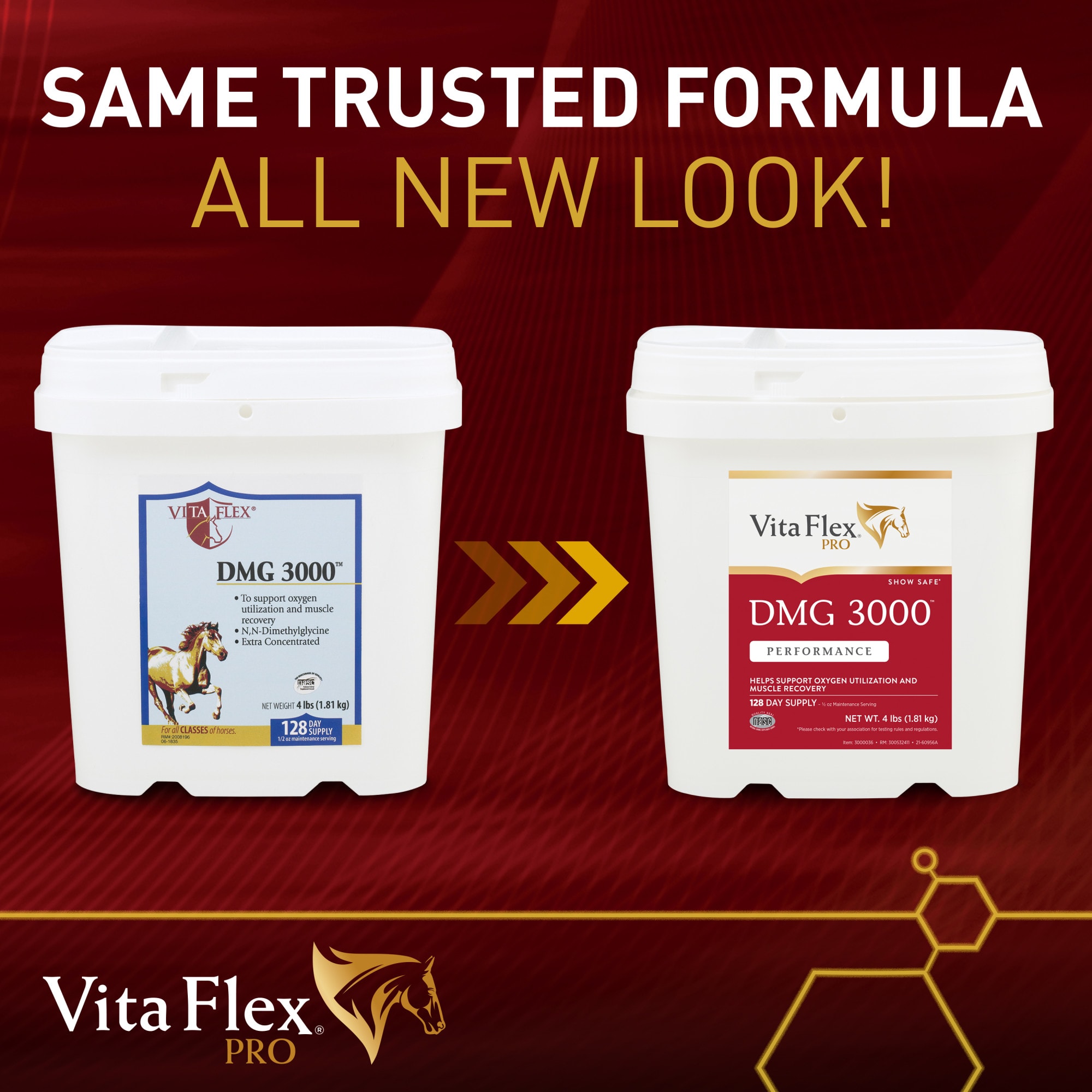 Vita Flex DMG 3000 Concentrate 128 Day Supply, 4 lbs.