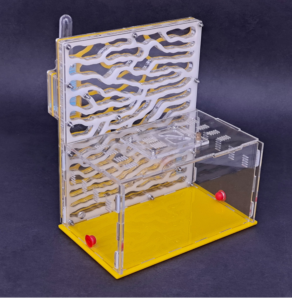 Large space ant nest formicarium ant farm for ants
