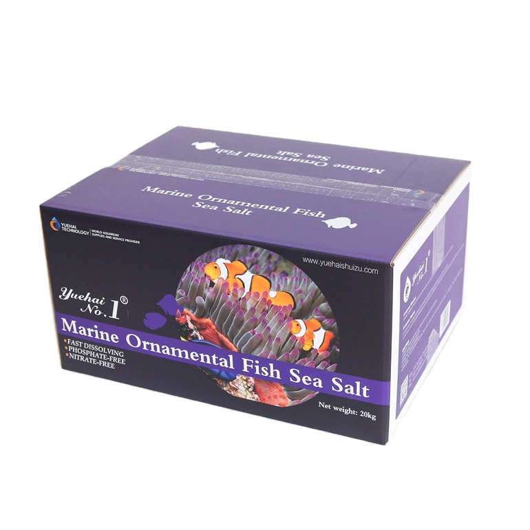 Top Unrefined Sps Coral Moderate Price marine ornamental fish sea salt water fish tank aquarium