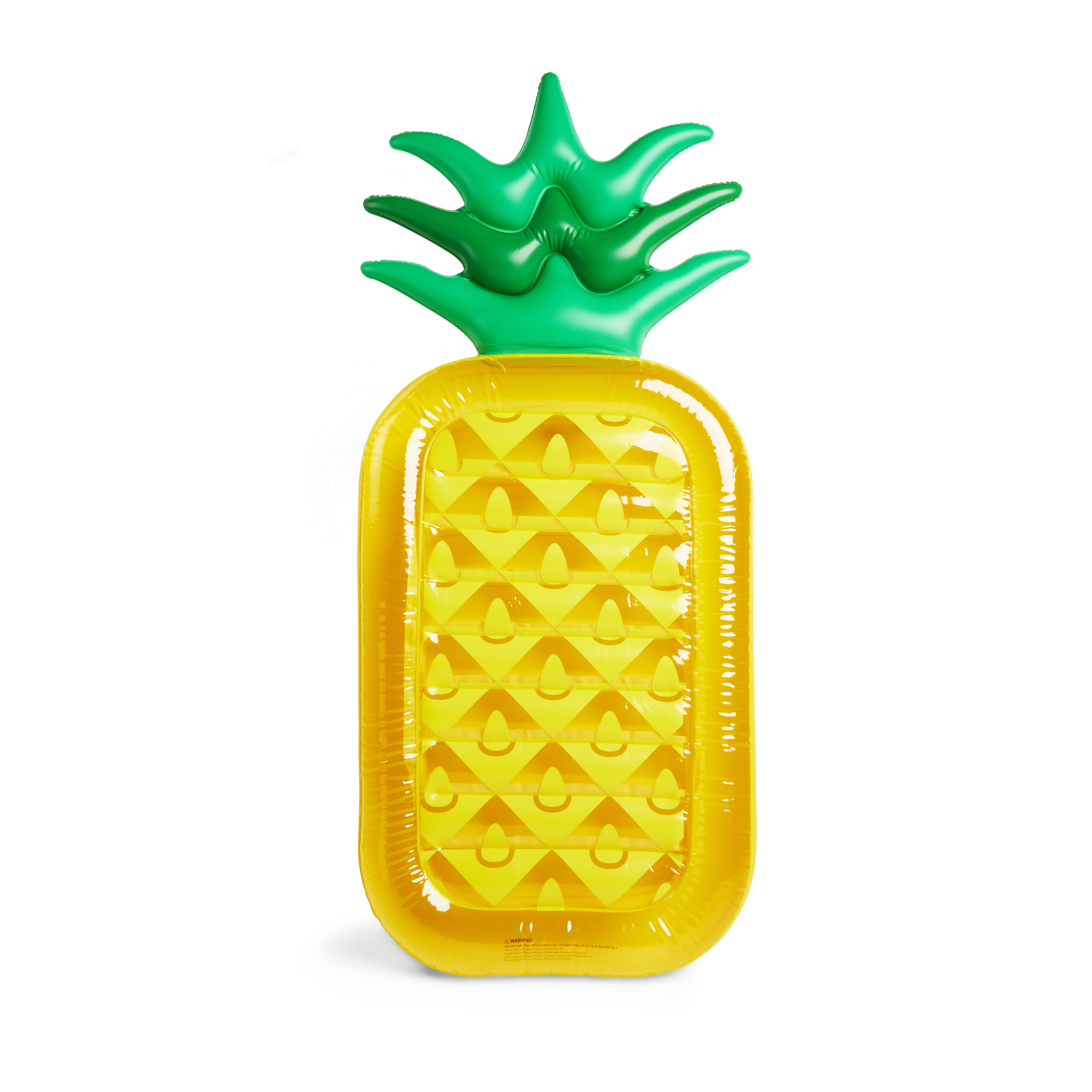 Leaps & Bounds Pineapple Pool Float Dog Toy, Large