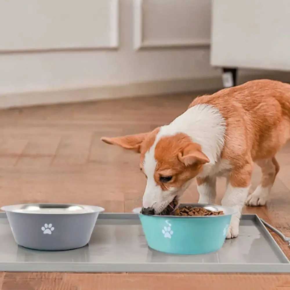 Non-slip Stainless Steel Dog Bowl Bilayer Non-rust Dog Water Bowl Cat Paw Pattern Pet Feeders Dog Food Bowls Drinkers HomeXJ241125