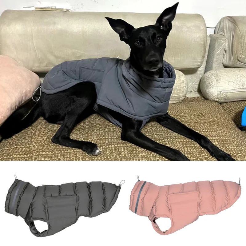 Windbreak Pet Clothes Winter Warm Thicken Puppy Dog Down Jacket for Small Medium Dogs Whippet Greyhound Coats mascotas Clothing 241125