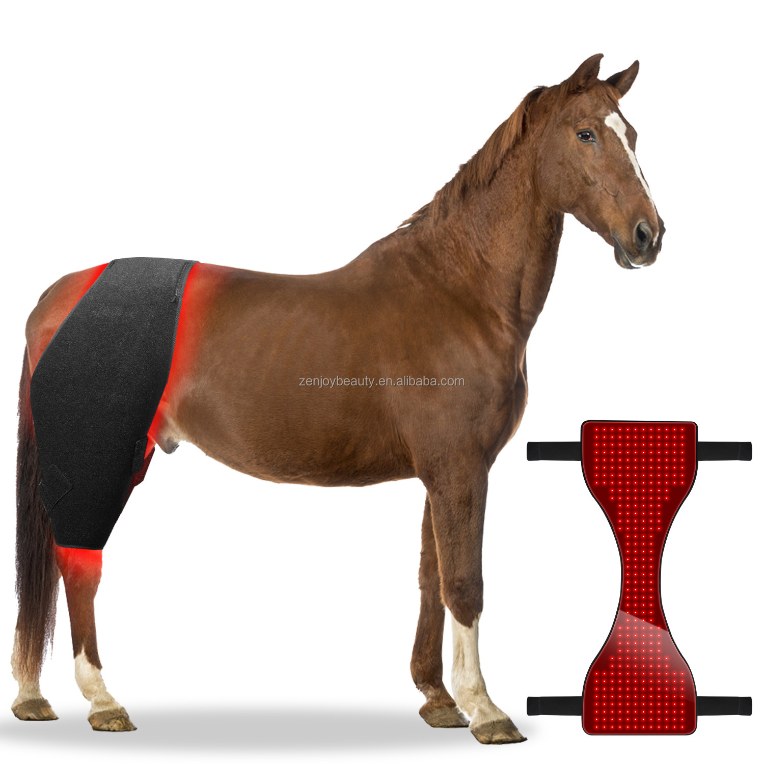 660 850 Pet Physical Therapy Belt Horses Care Near Infrared Back Body Pain Relief Flexible Red Light Therapy Horse Pad For Horse