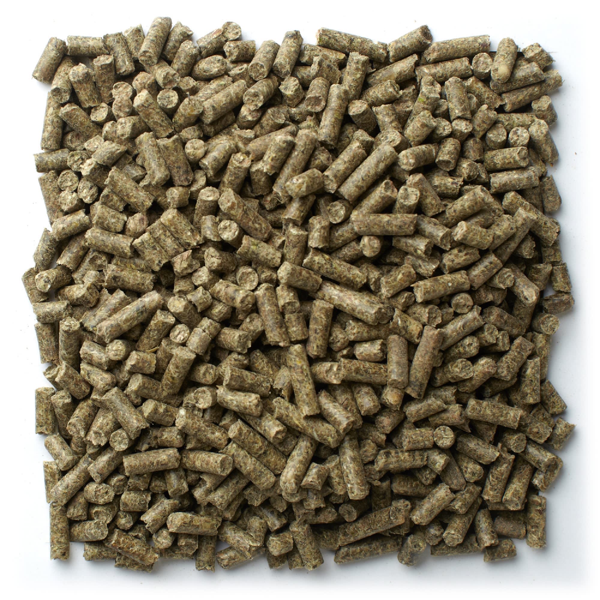 Mazuri Guinea Pig Diet Food, 25 lbs.