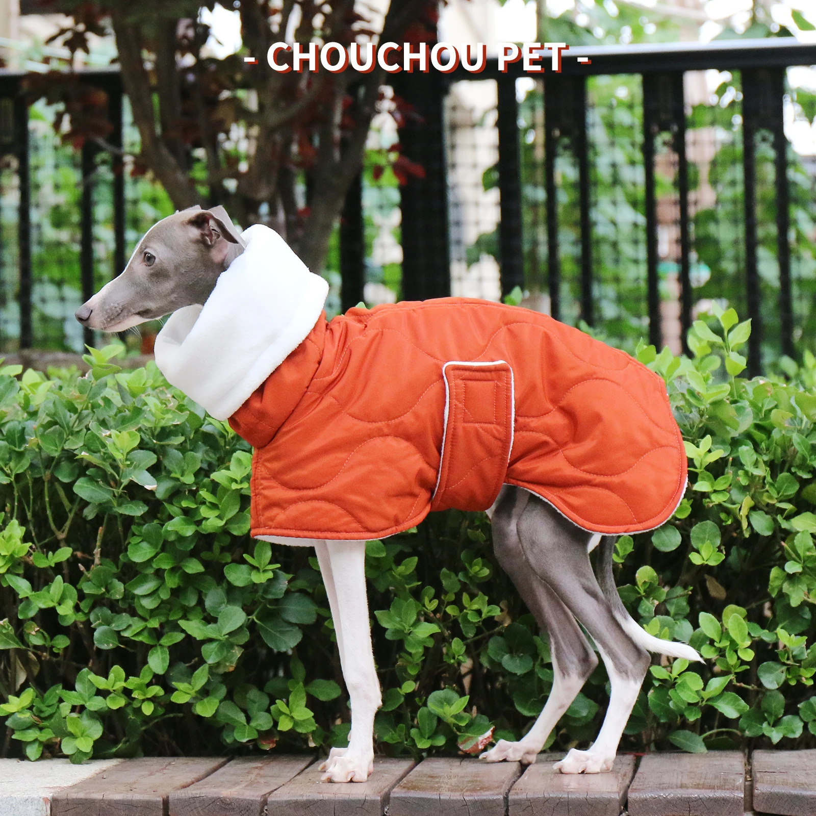 Winter Dog Outer orange Quilted Turtle Collar Dog Coat Warm Italian Greyhound Adjustable Cotton Whippet 241125