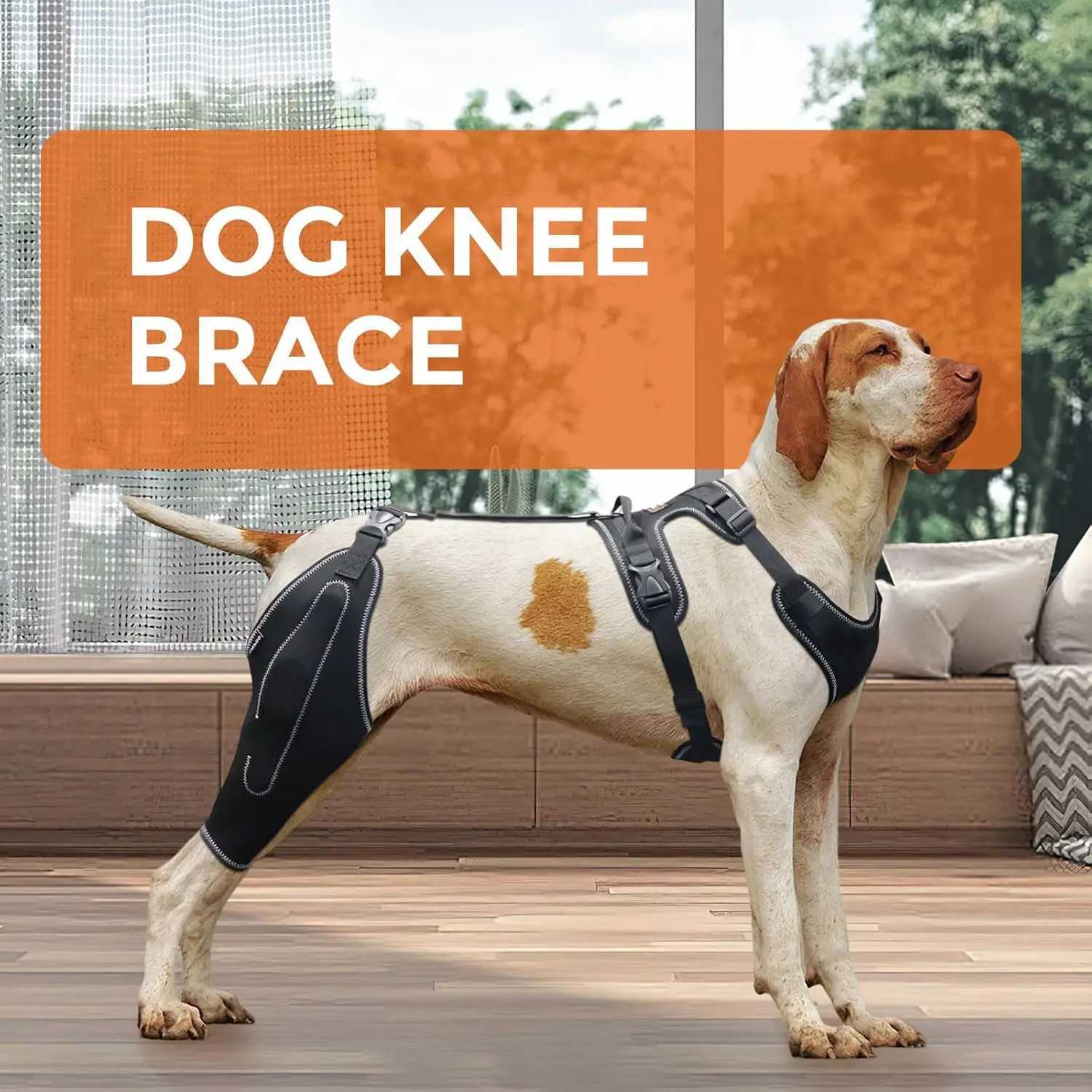 Dog knee brace for tearing Acl legs used to warm joints and relieve joint pain in the back for better recovery X241125