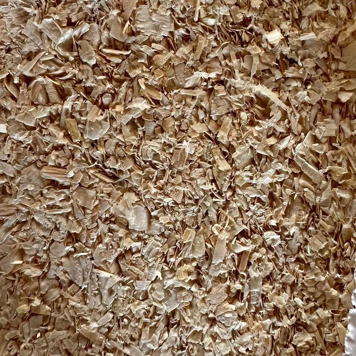 100% Natural Pine Wood Shavings Dust-Free 20kg Medium to Large Leaf Pet Bedding for Carriers & Travel Products