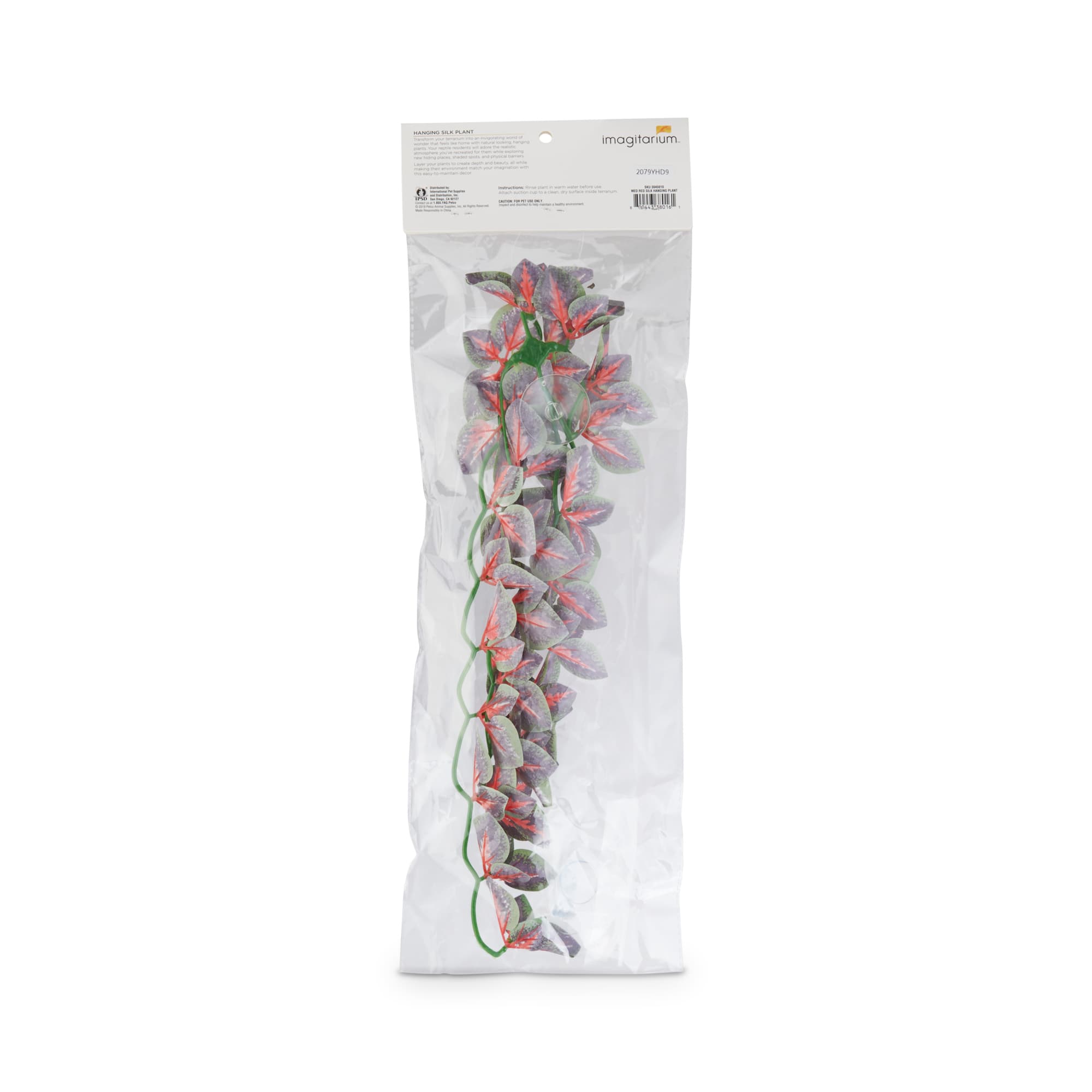 Imagitarium Hanging Red Silk Plant, Medium