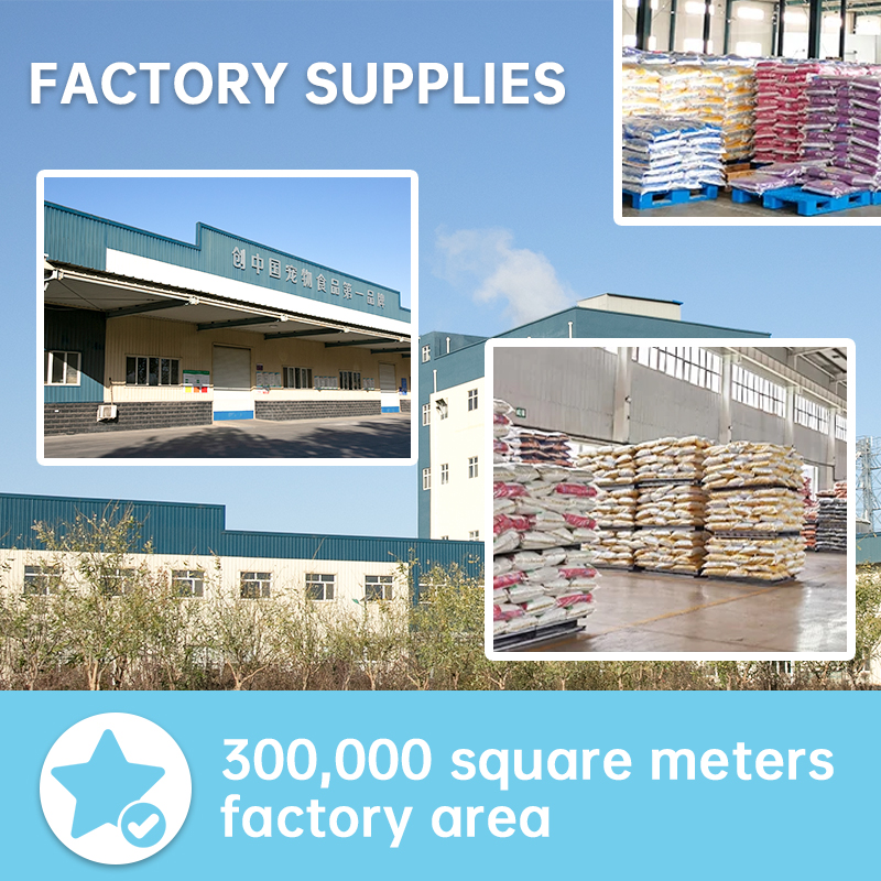 Free Samples All Stages Dry Food Cats Nutritionally Balanced Cheap Food Cats OEM Factory MultipleShape Multiple Flavors Bulk