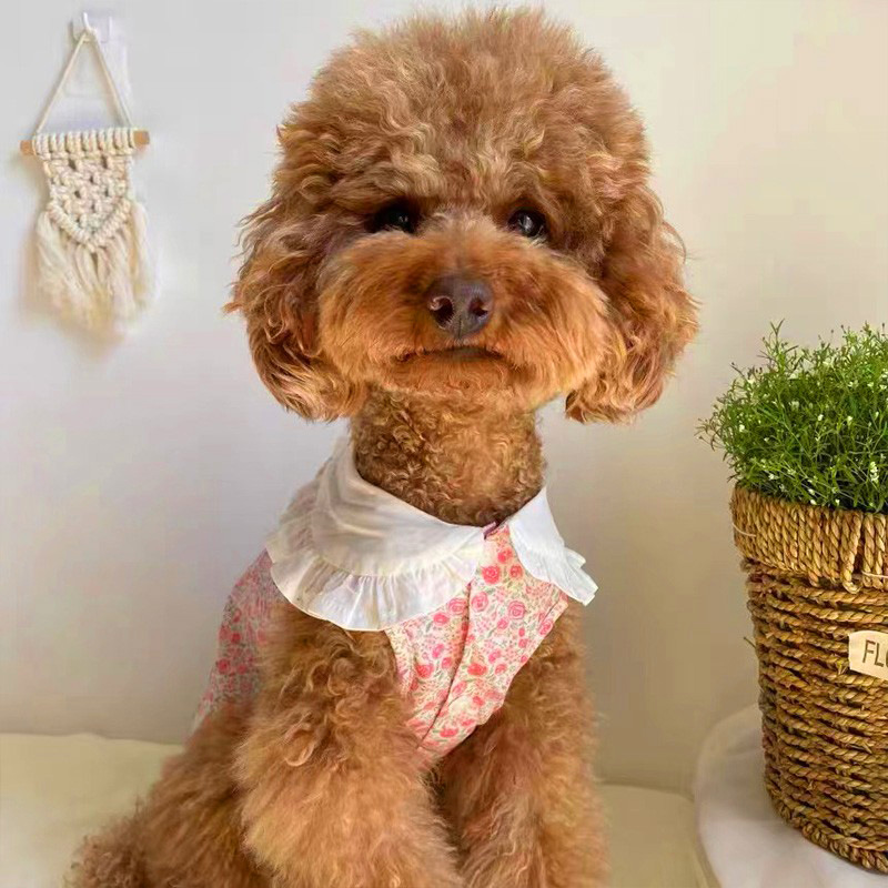 Dog Floral Dress Puppy Clothes Cat Summer Pet Clothes Chihuahua French Bulldog Yorkie Small Dog Dress Pet Vest Dog Skirt Female