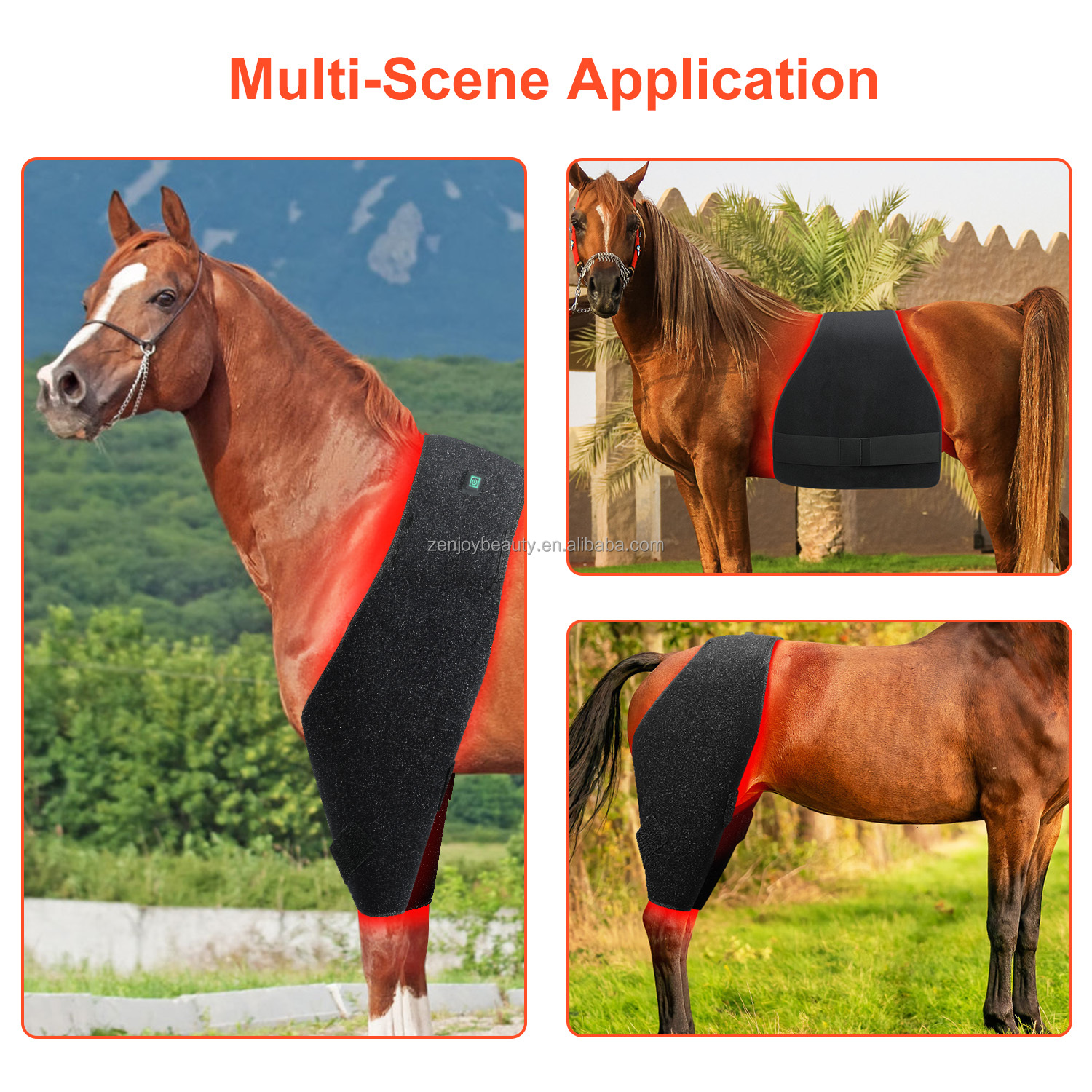 660 850 Pet Physical Therapy Belt Horses Care Near Infrared Back Body Pain Relief Flexible Red Light Therapy Horse Pad For Horse