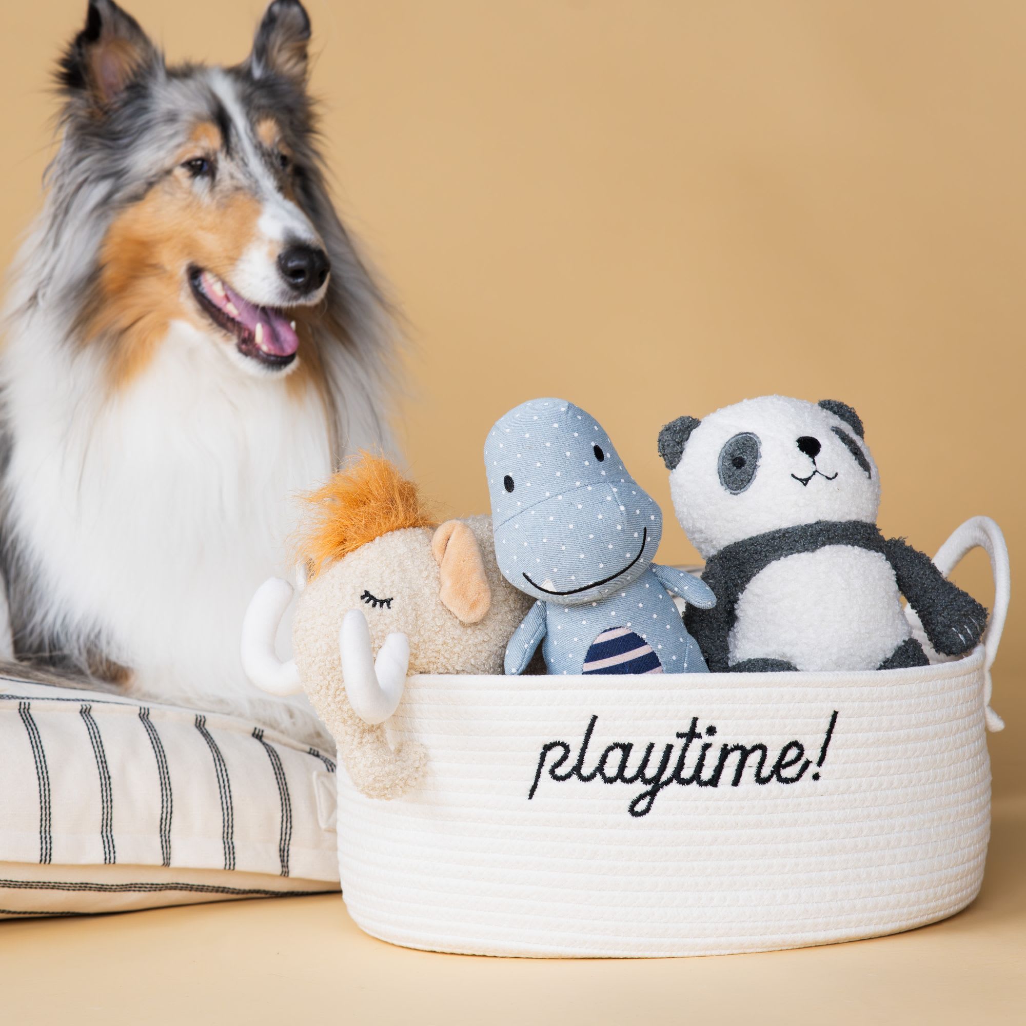 Harry Barker White Playtime Dog Toy Bin, X-Large
