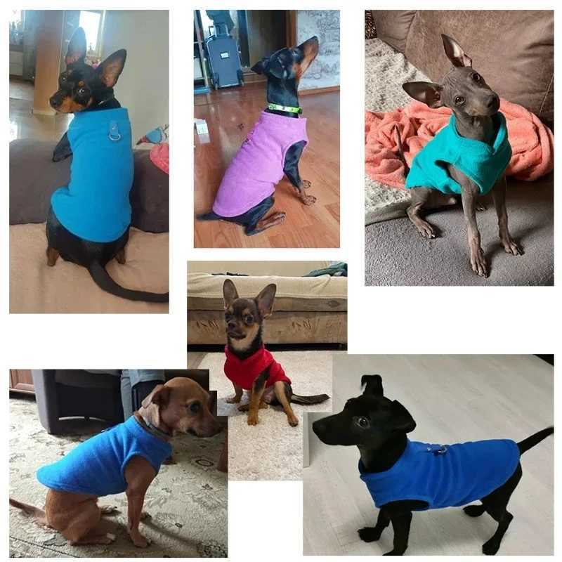 Warm Fleece Dogs Clothes Pet Dog Jacket Vest With D-Ring For Small Dog Cats Clothing French Bulldog Costumes Chihuahua CoatXJ241125