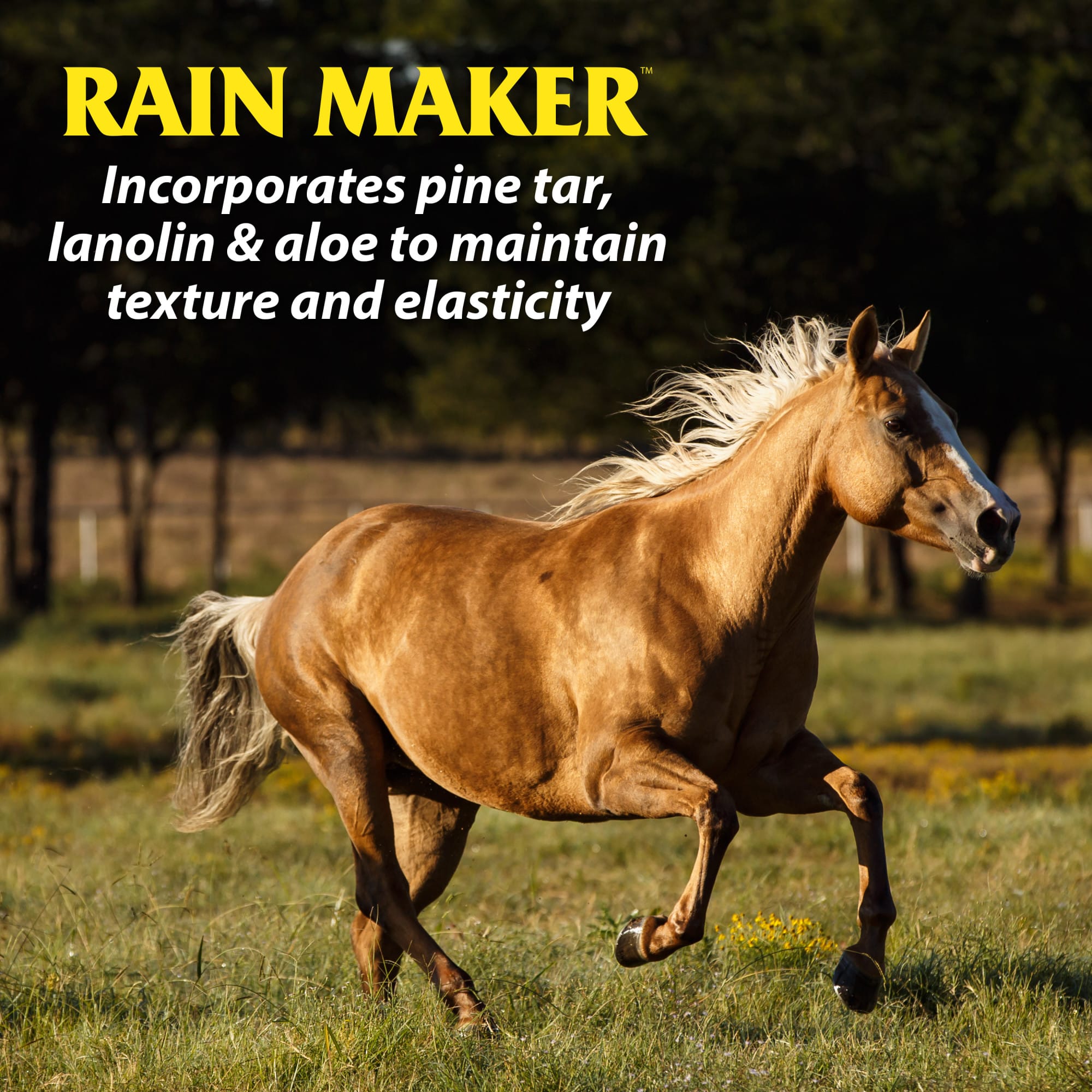 Farnam Rain Maker Triple Action Hoof Moisturizer and Conditioner for Horses, 32 fl. oz.