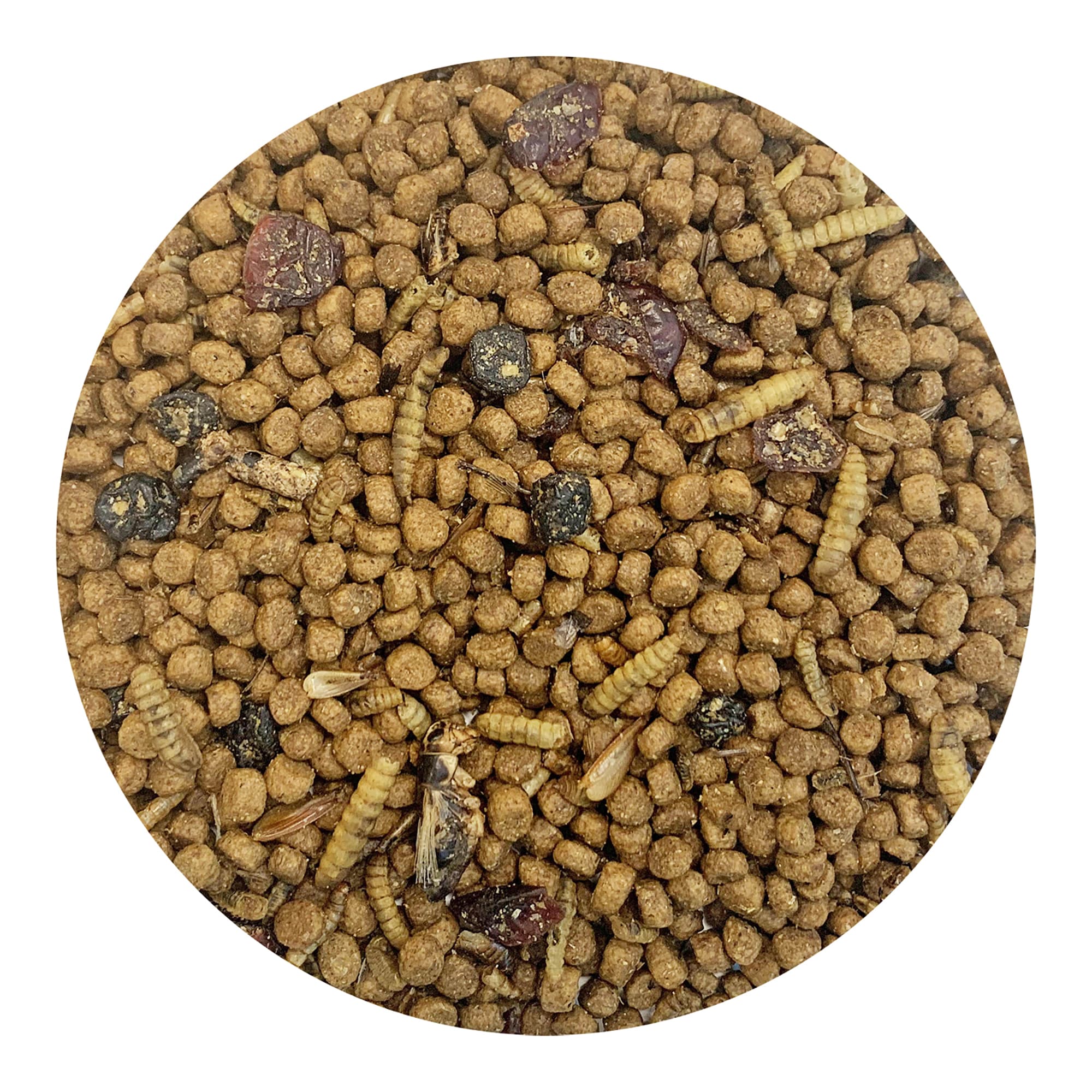 Exotic Nutrition Berries & Bugs Small Pet Food, 1.5 lbs.