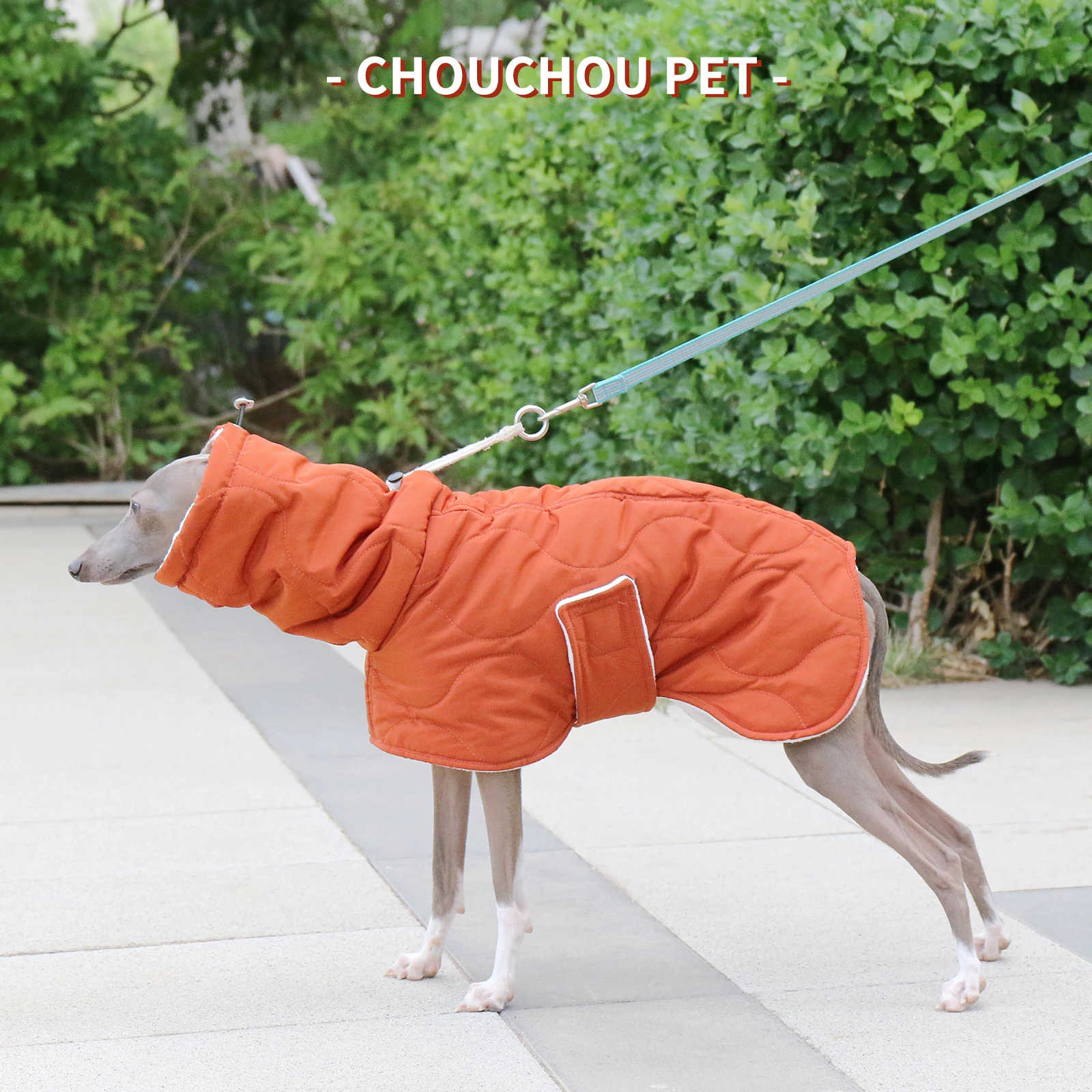 Winter Dog Outer orange Quilted Turtle Collar Dog Coat Warm Italian Greyhound Adjustable Cotton Whippet 241125