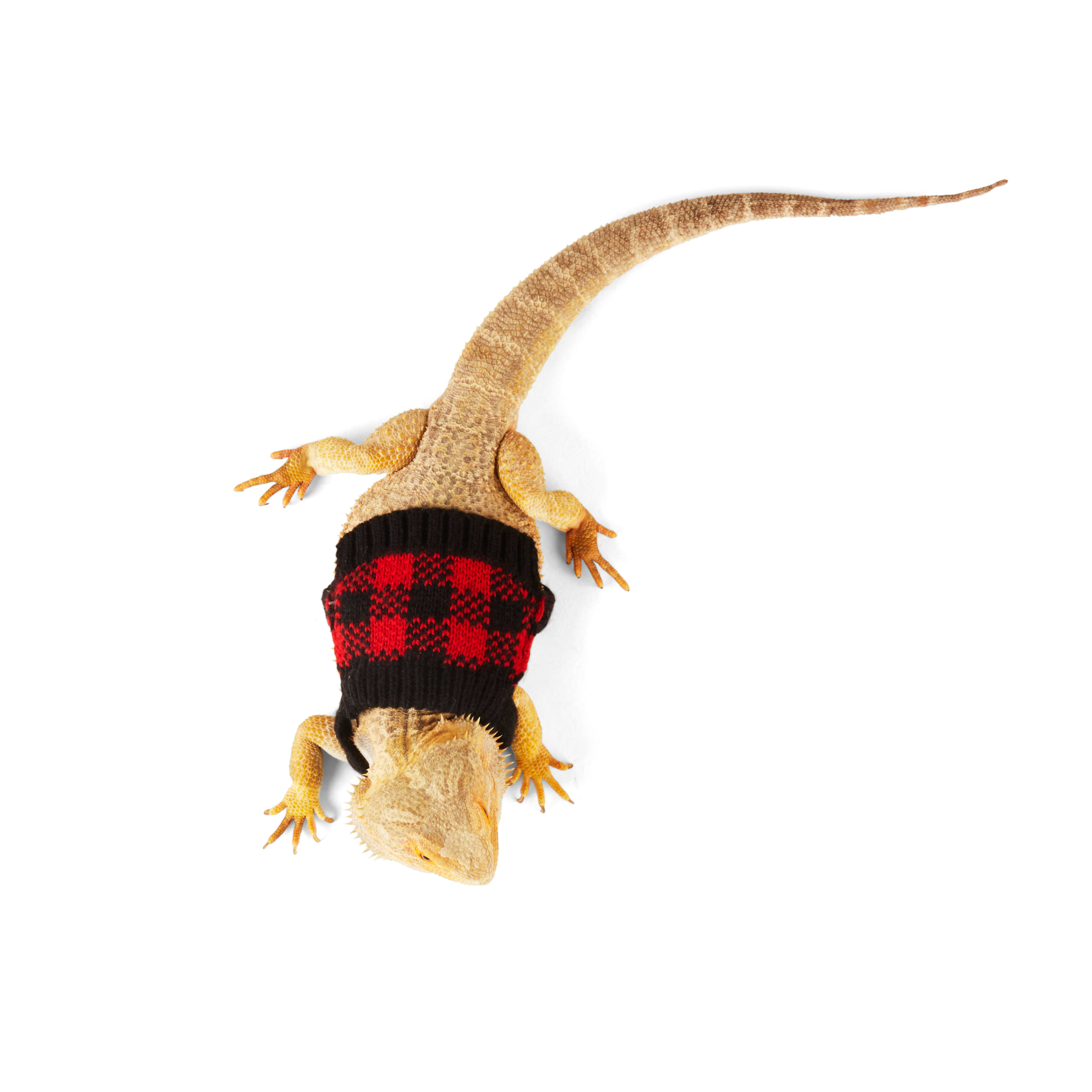 Merry Makings Buffalo Check Sweater for Reptiles, Red