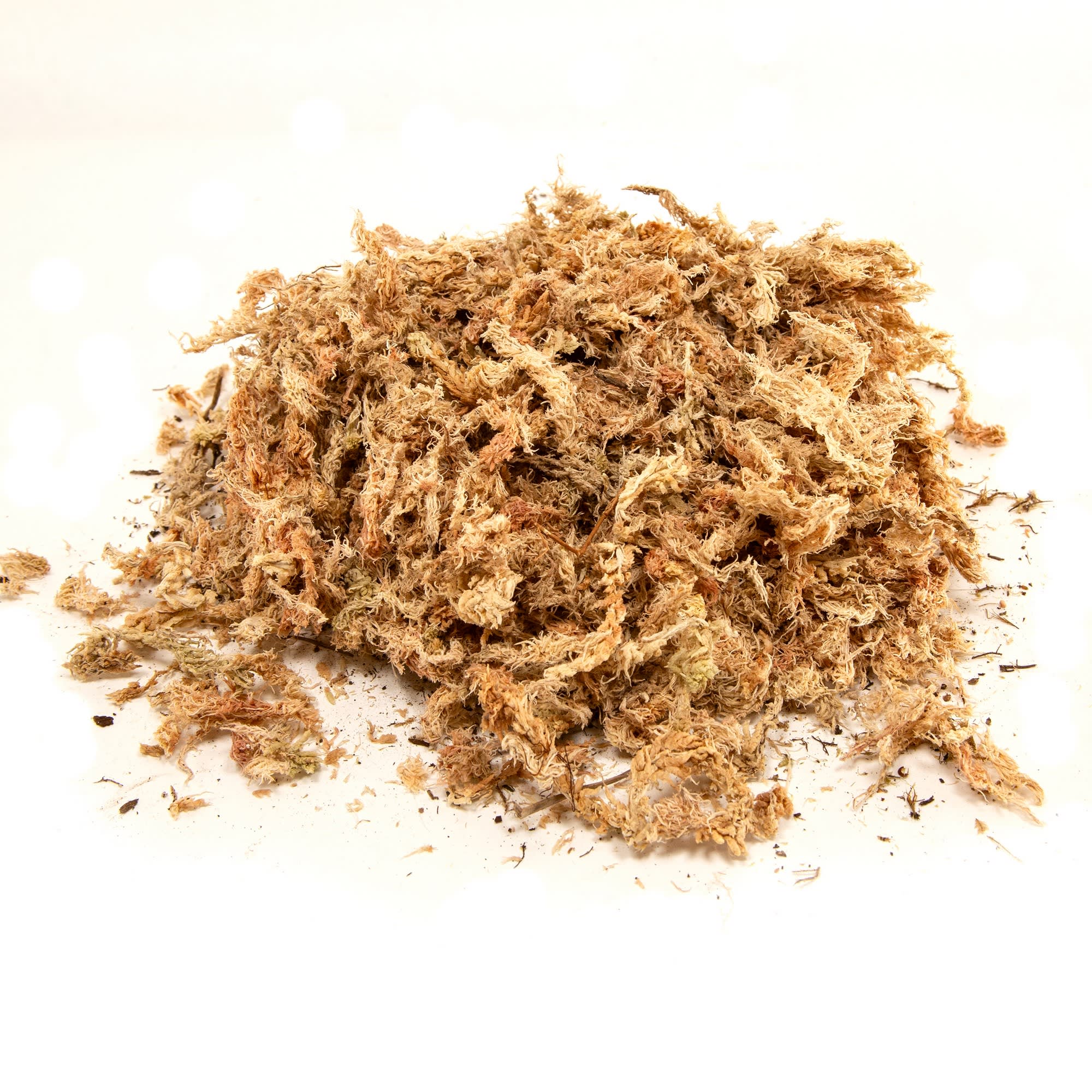 Zoo Med New Zealand Sphagnum Moss