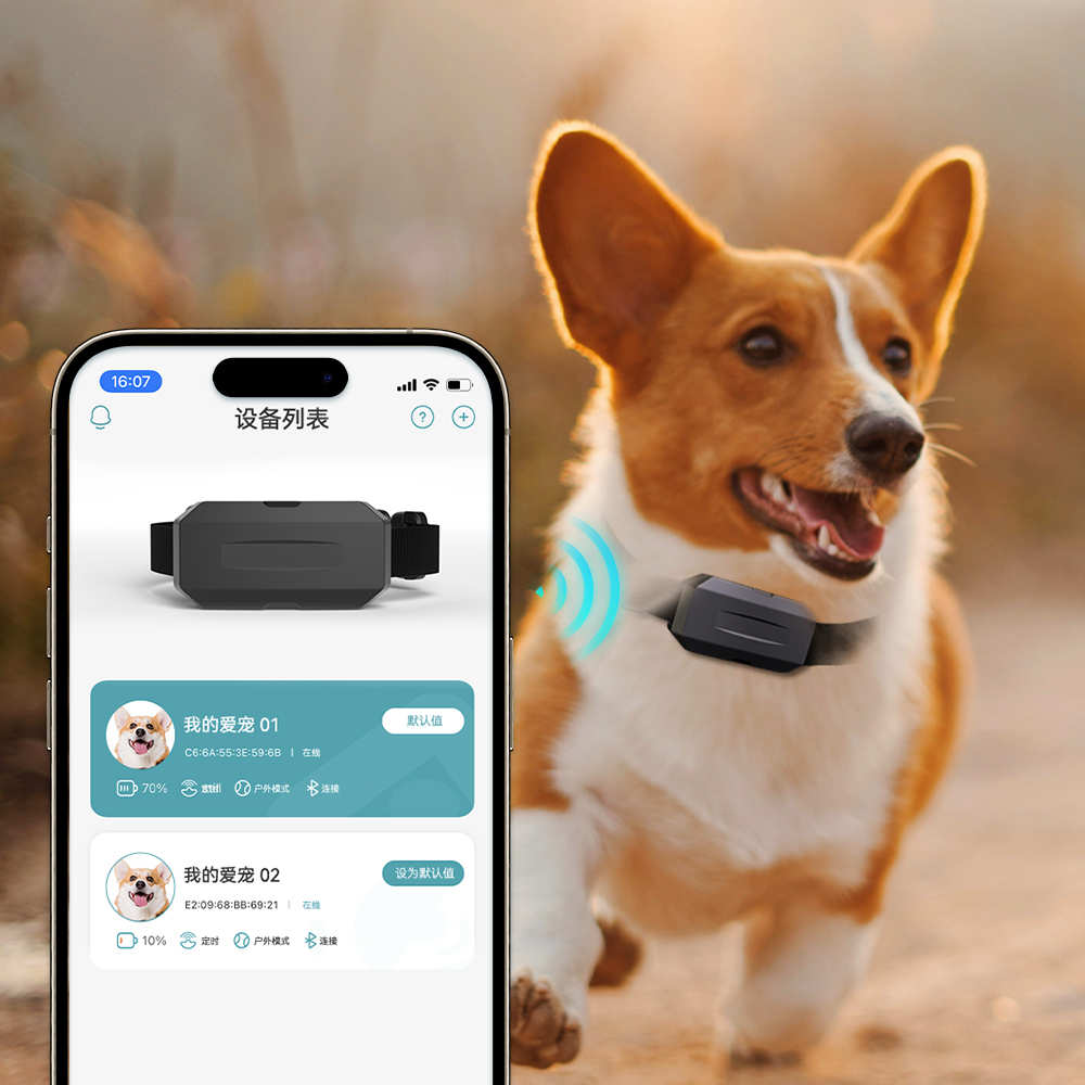 Omni Best Selling Pet Items GPS Hunting Dog Cat Big Collar 4G Tracker Dog Tracking Locator