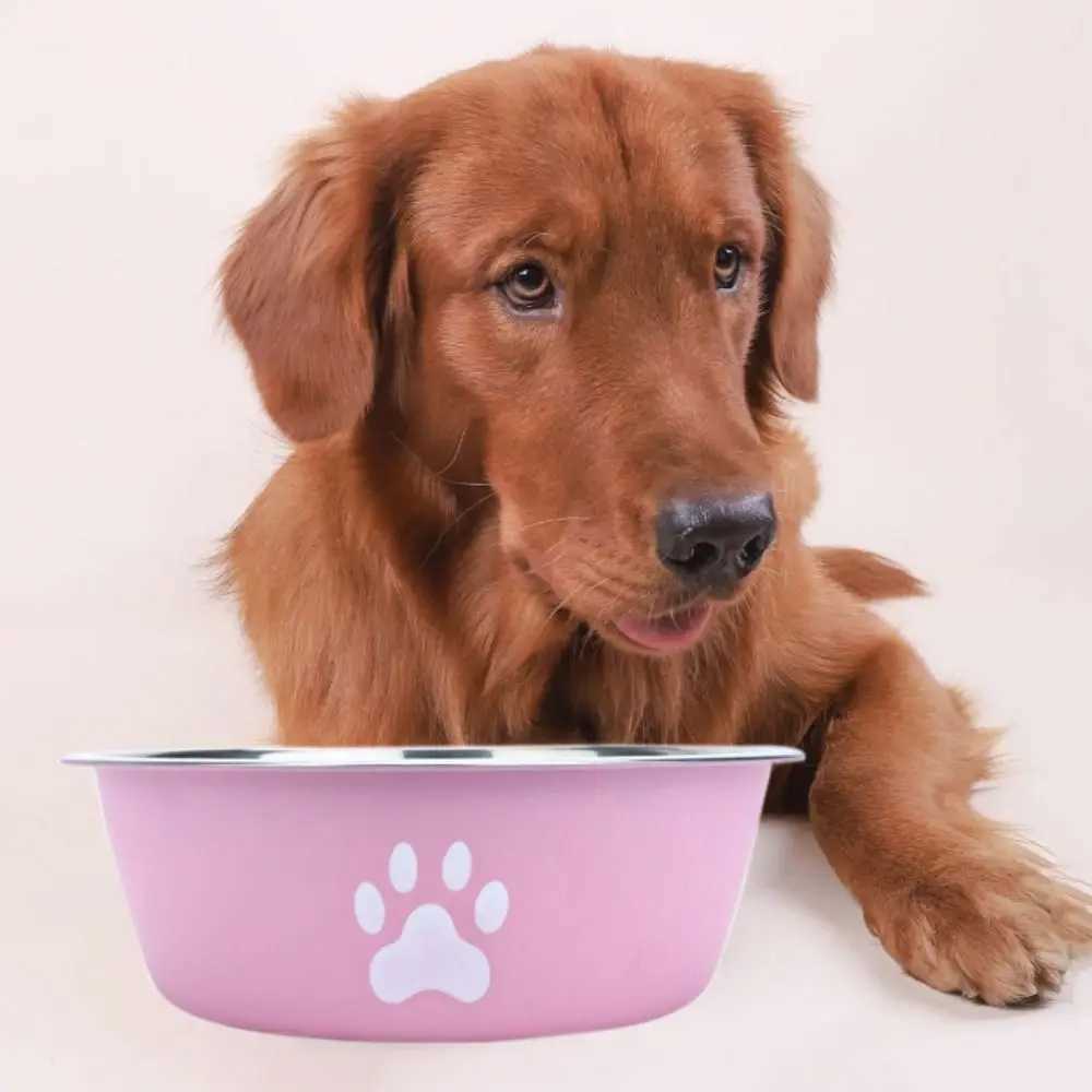 1 PCS Non-slip Stainless Steel Dog Bowl Large Capacity Pet Feeding Bowl Creative Cat Paw Pattern Water BowlXJ241125