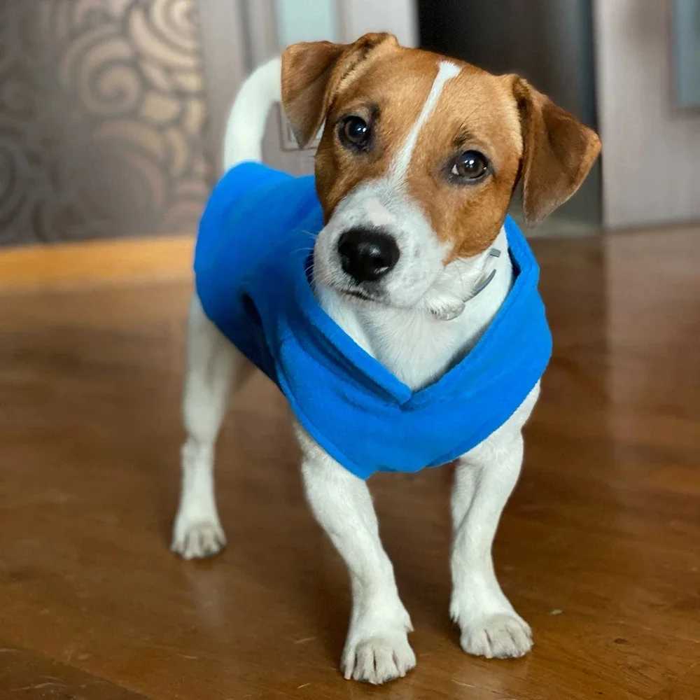 Warm Fleece Dogs Clothes Pet Dog Jacket Vest With D-Ring For Small Dog Cats Clothing French Bulldog Costumes Chihuahua CoatXJ241125