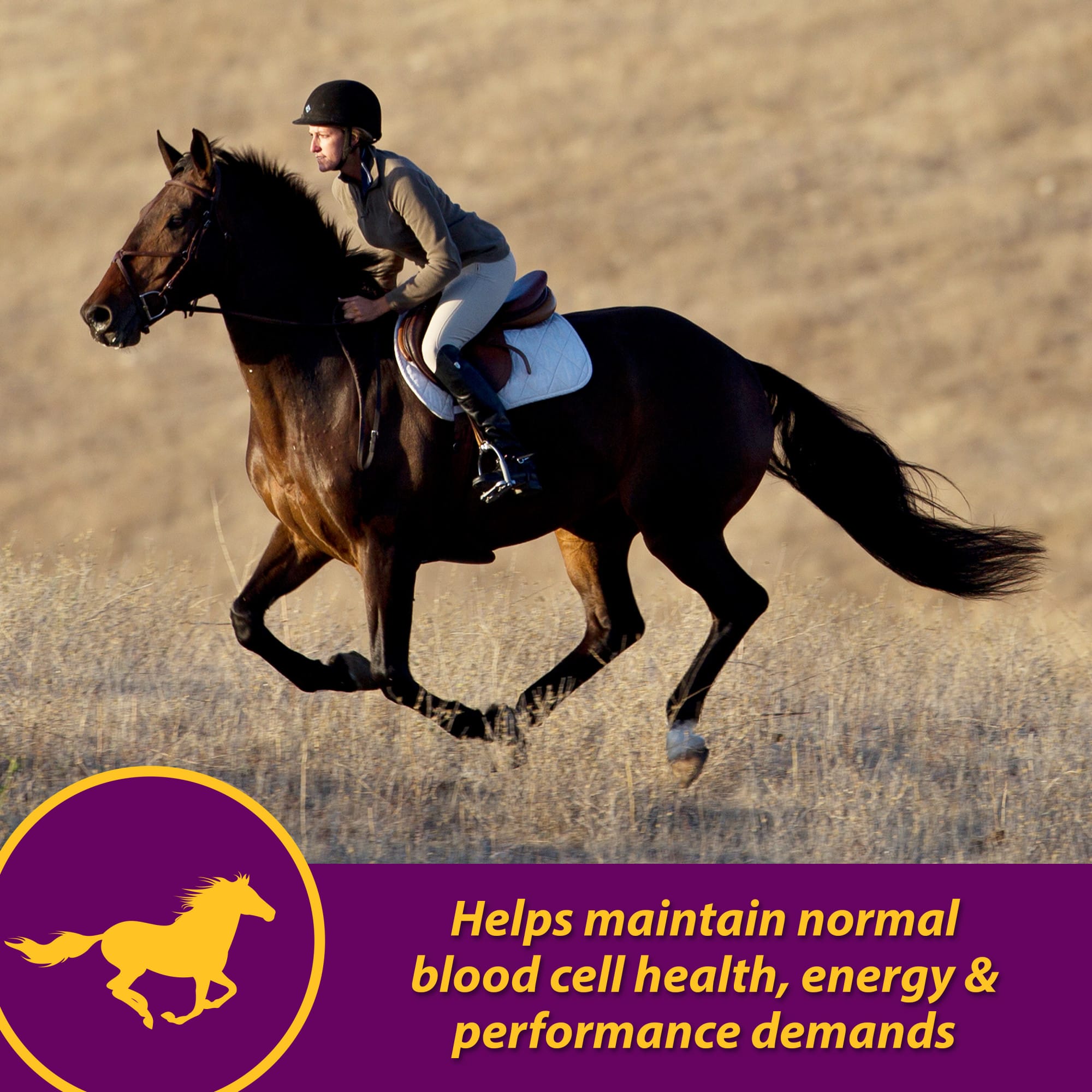 Horse Health Red Cell Vitamin-Iron-Mineral, 32 fl. oz.