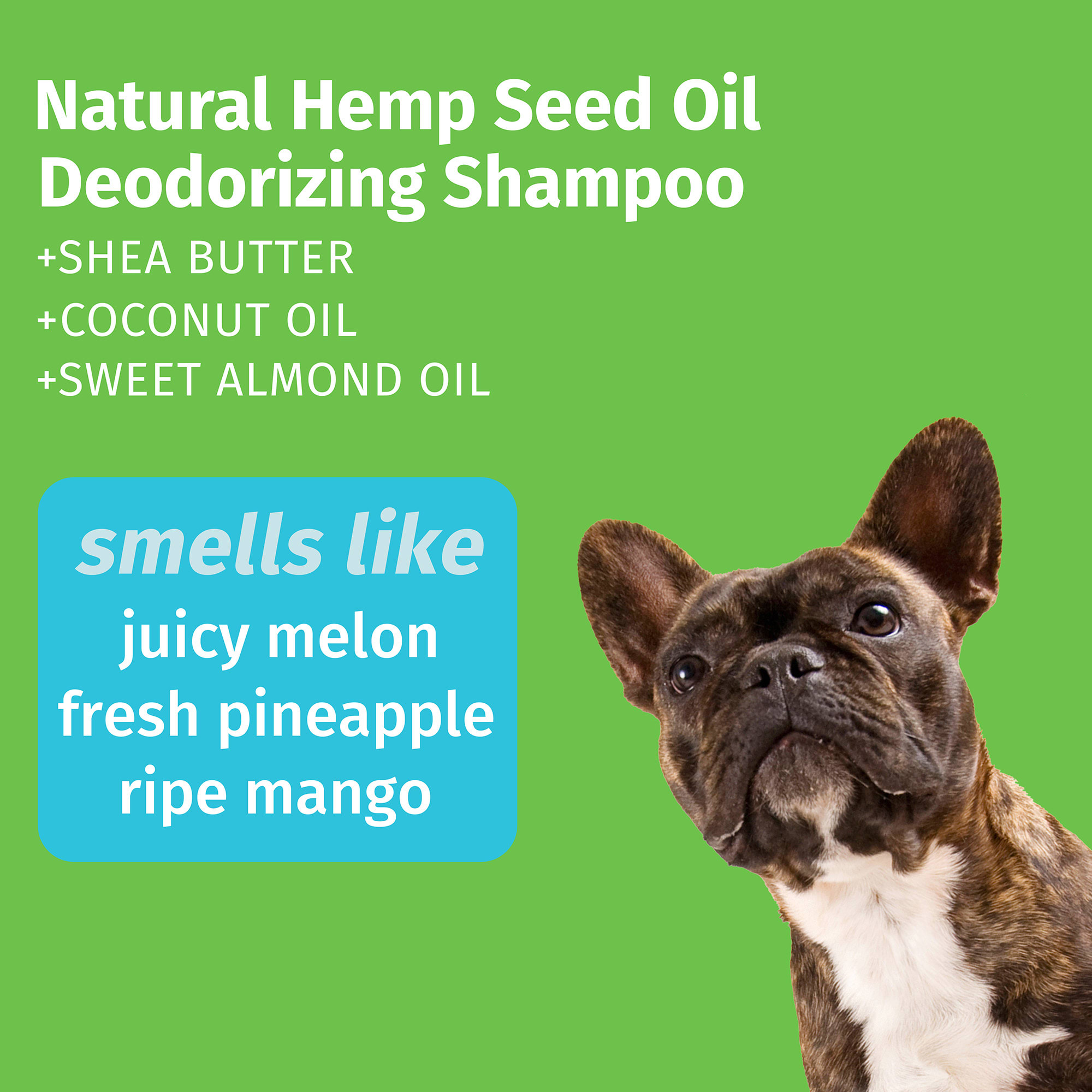 HEMPZ Sweet Pineapple & Honey Melon Herbal Deodorizing Shampoo for Dogs, 17 fl. oz.
