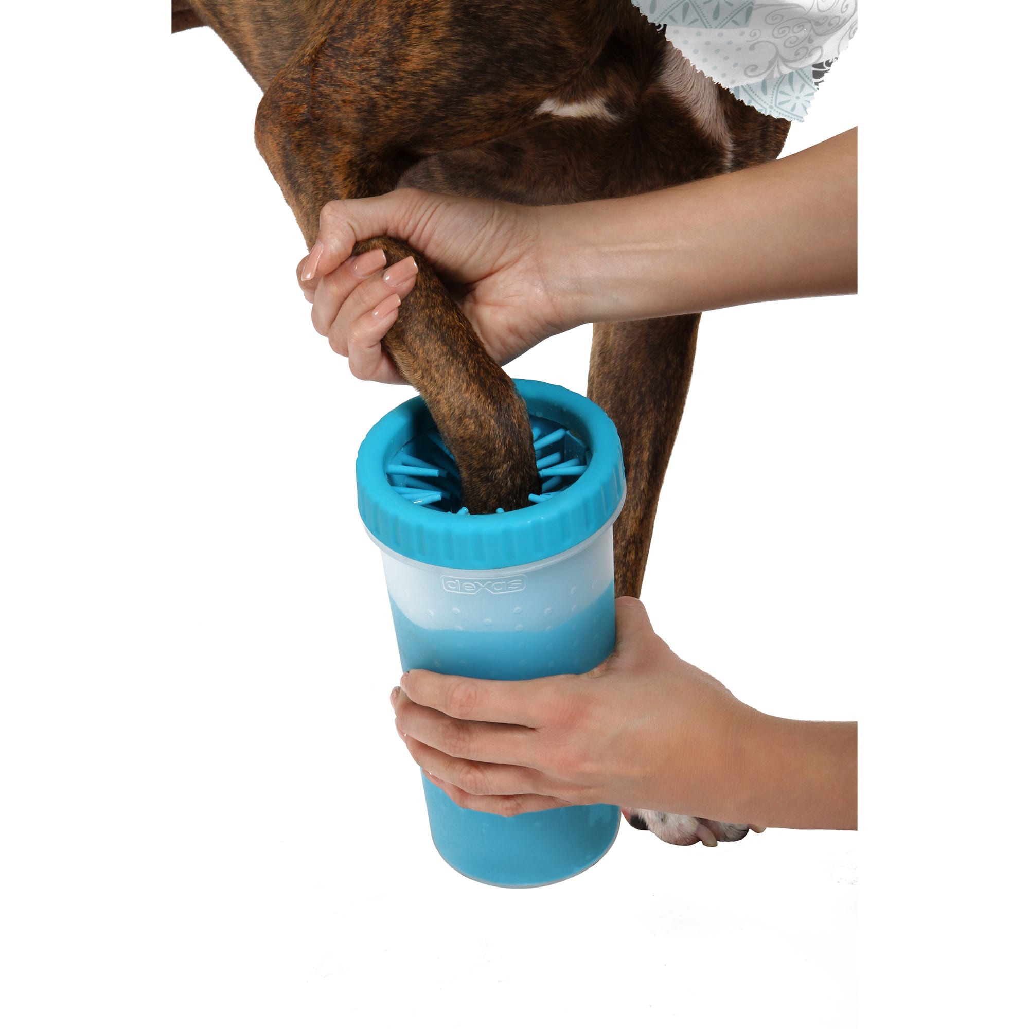Dexas MudBuster Portable Blue Dog Paw Cleaner, Large