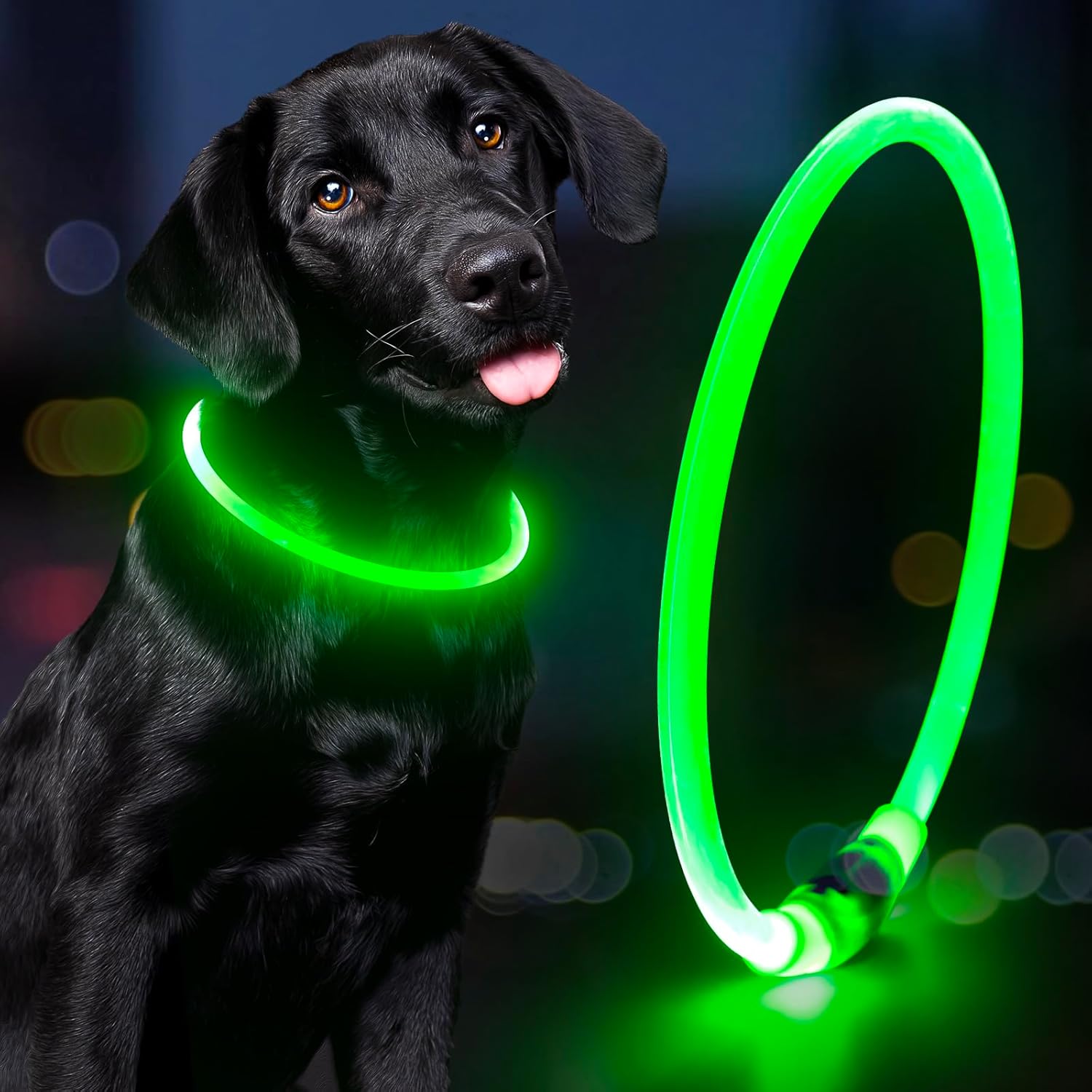 OEM Brightest Dog Collars USB Rechargeable Waterproof Light Up Dog Collar for Night Walking