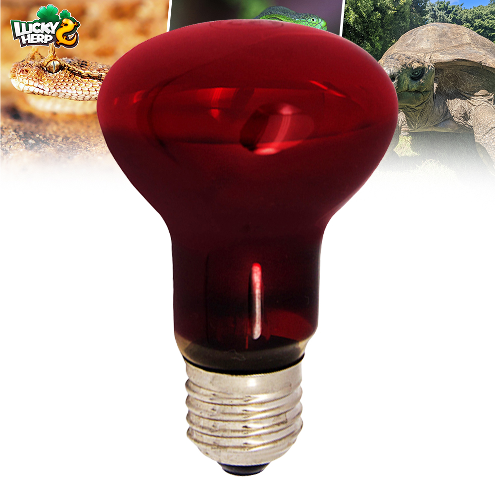 60W 100w banet reptiles red light bulb nocturnal infrared nighttime spot heat lamp for turtles beard dragon and red eared slider