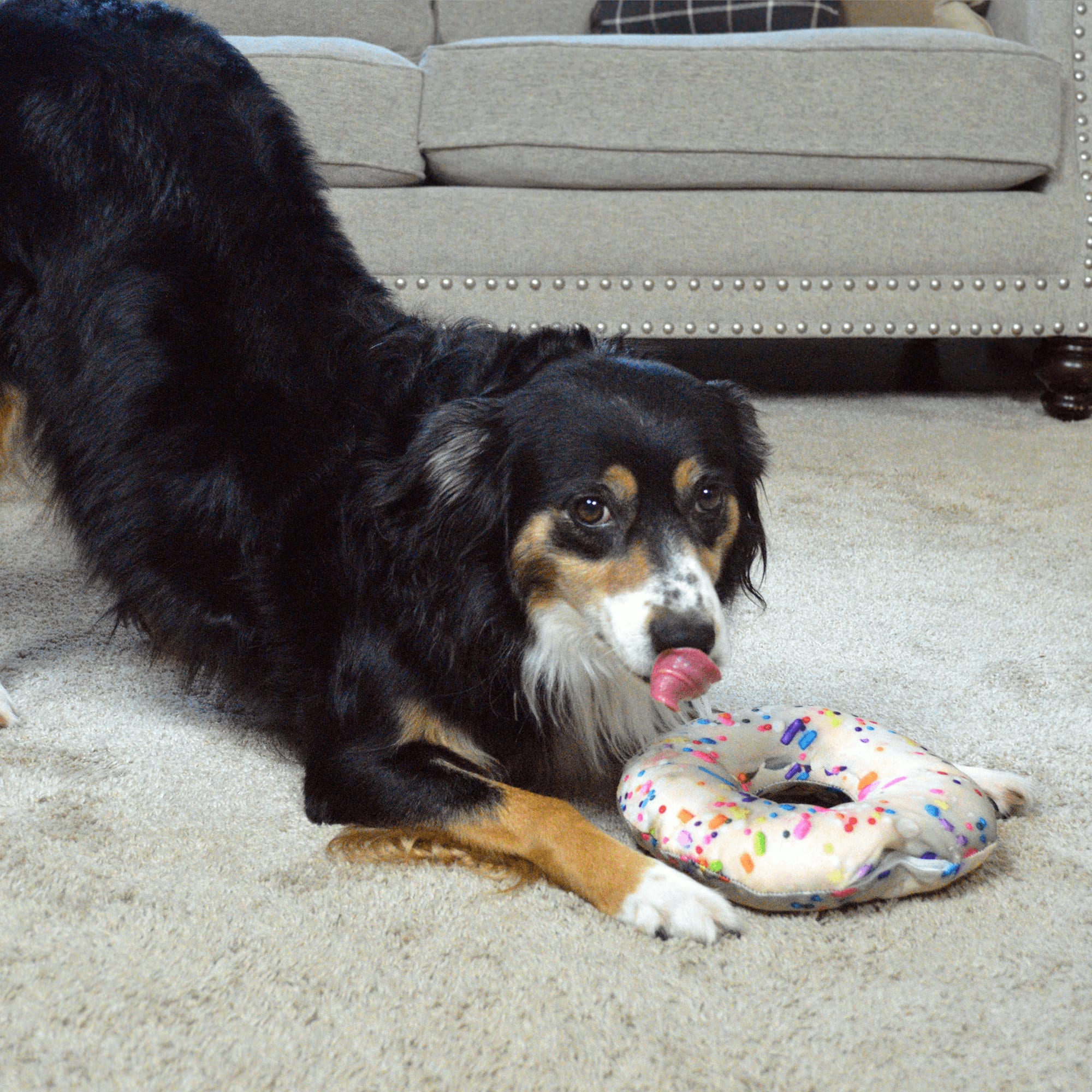 Doggijuana Get the Munchies Refillable Donut Dog Toy, Medium