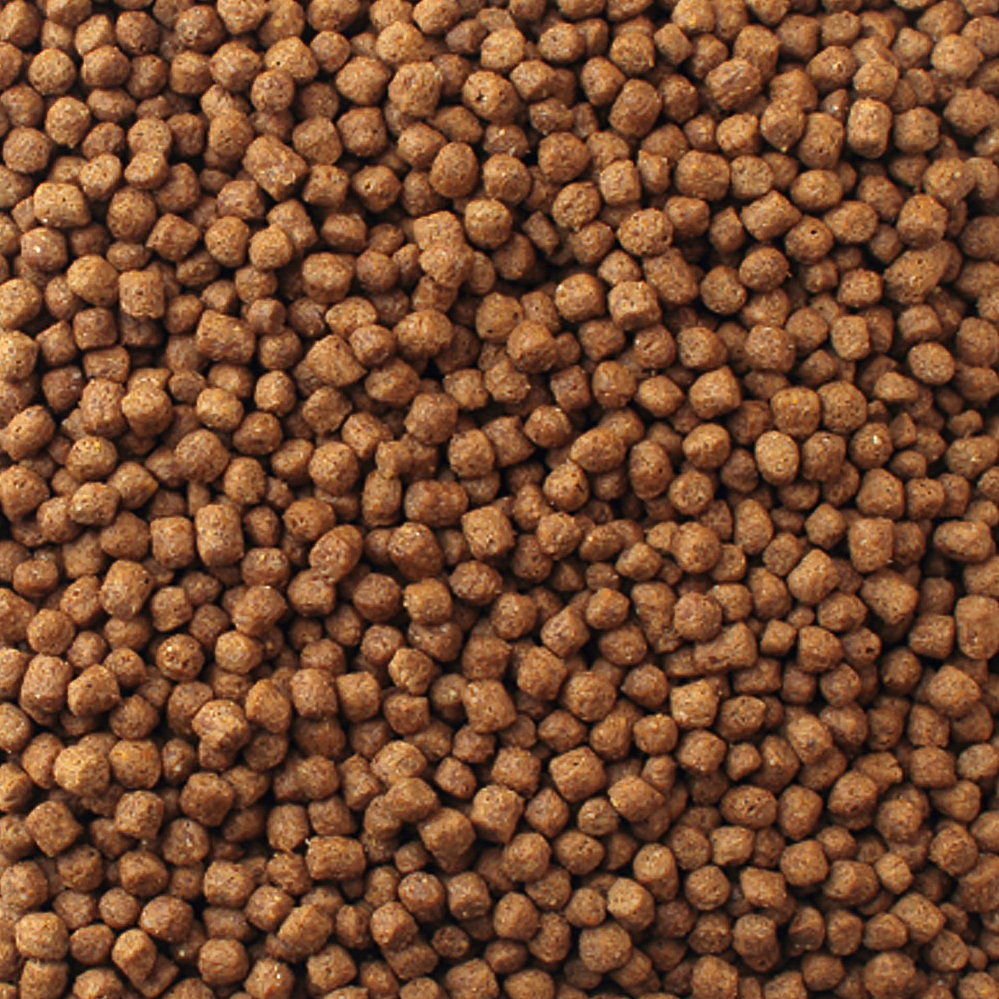 Mazuri Aquatic Turtle Food, 25 lbs.